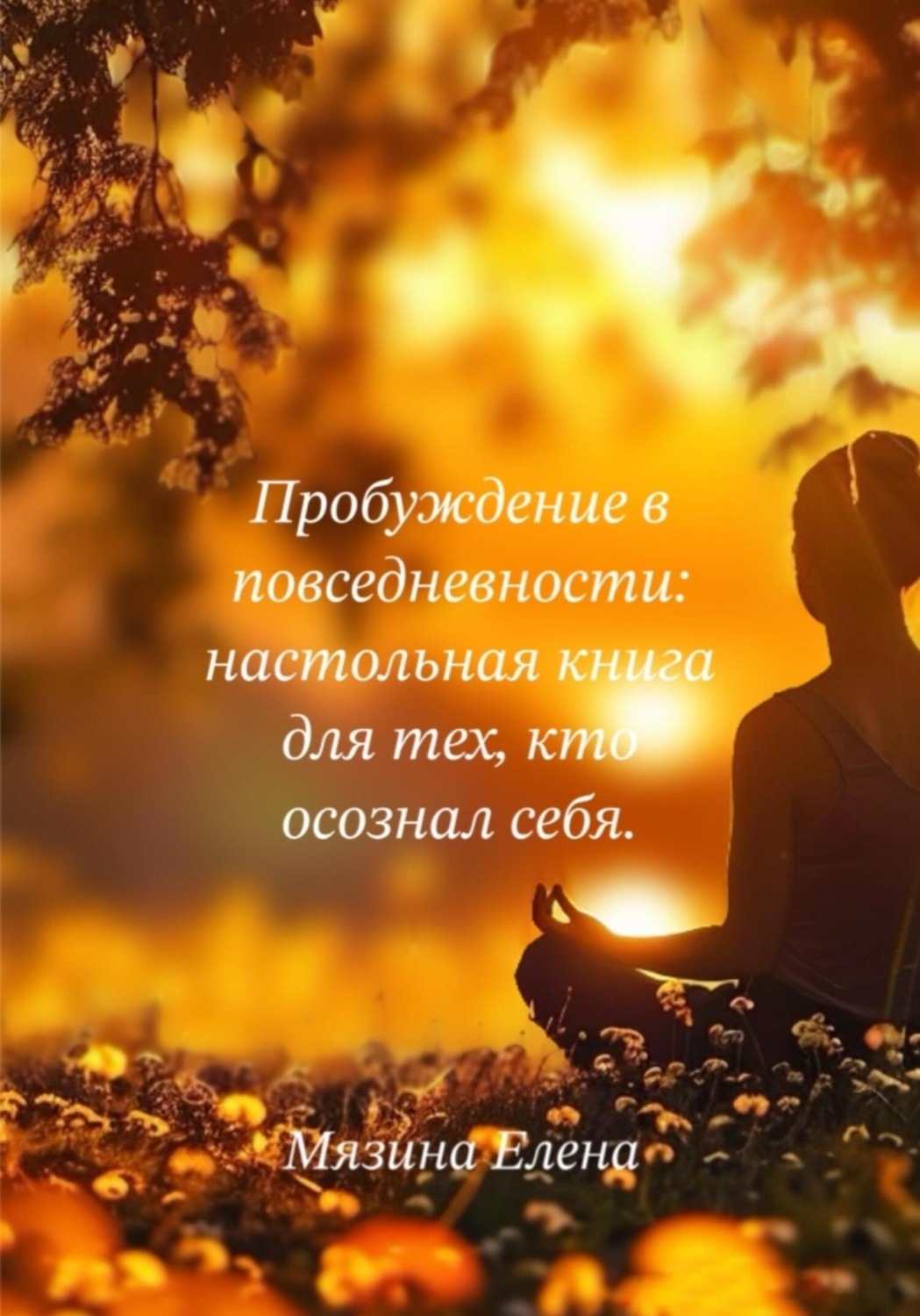 Обложка книги «Пробуждение в повседневности: настольная книга для тех, кто осознал себя»