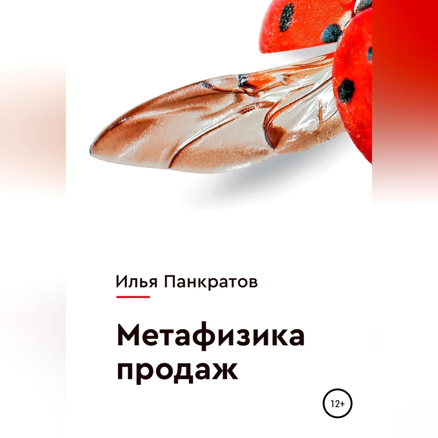 Обложка книги «Метафизика продаж»