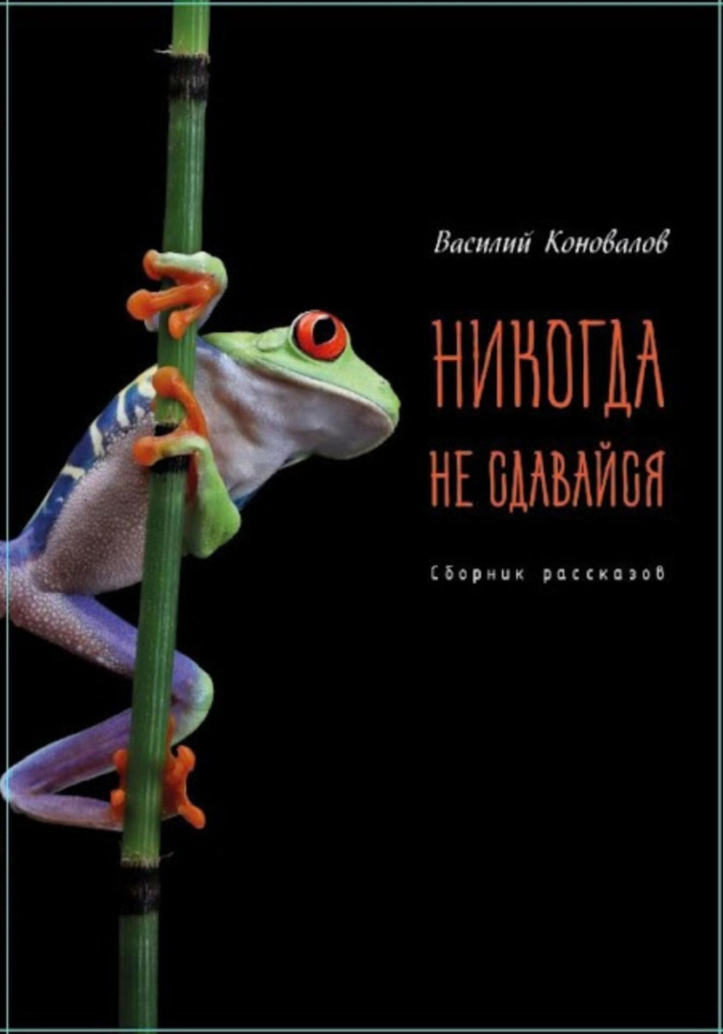 Обложка книги «Никогда не сдавайся»