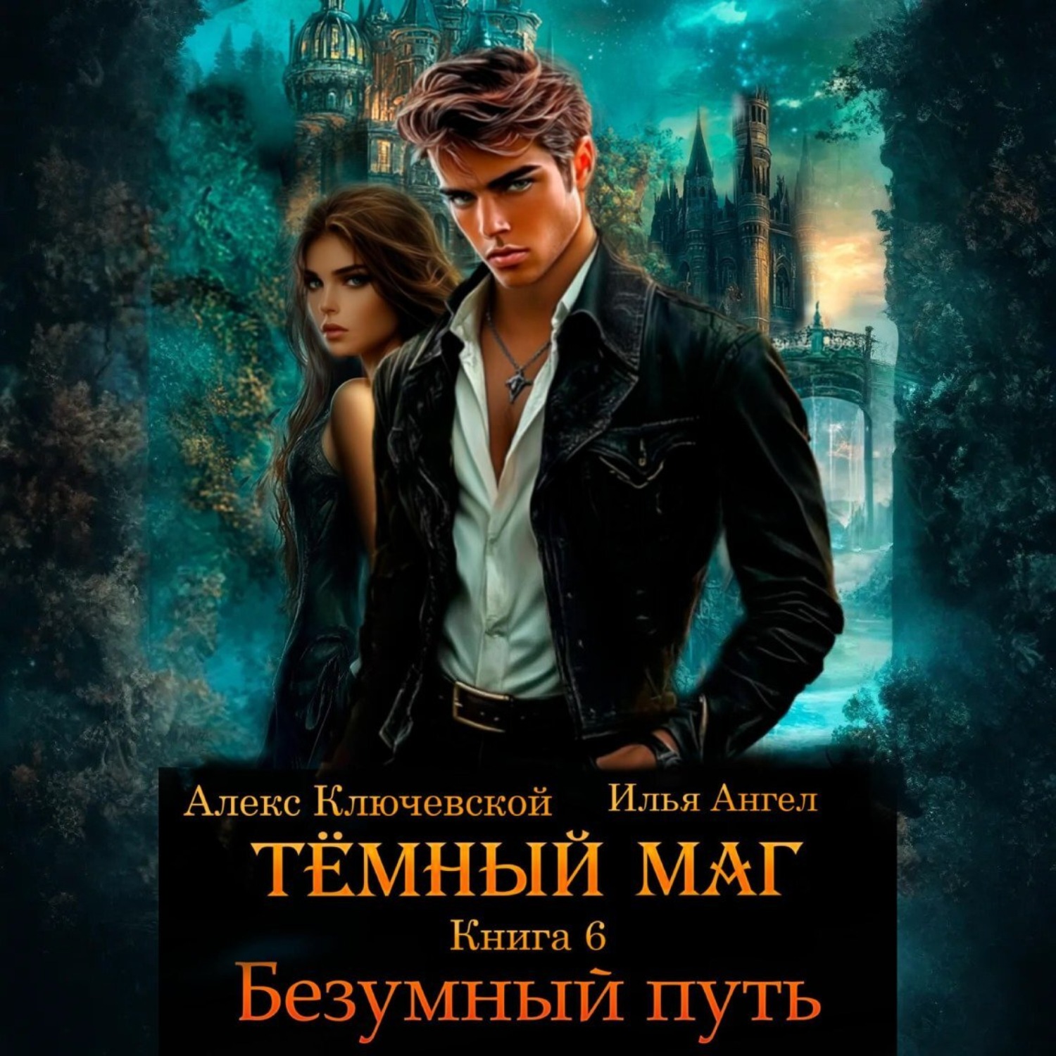 Обложка книги «Тёмный маг. Книга 6. Безумный путь»