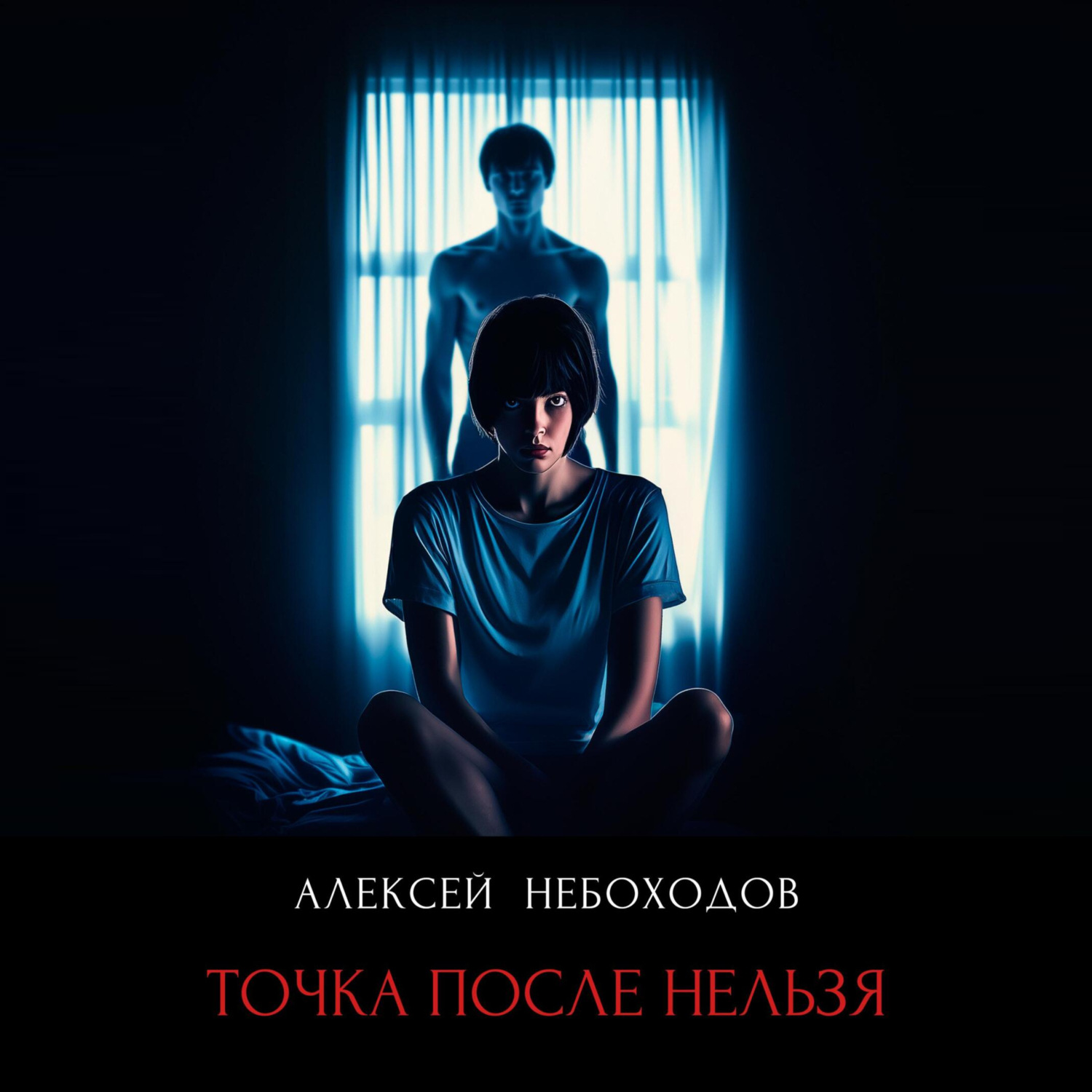 Обложка книги «Точка после нельзя»