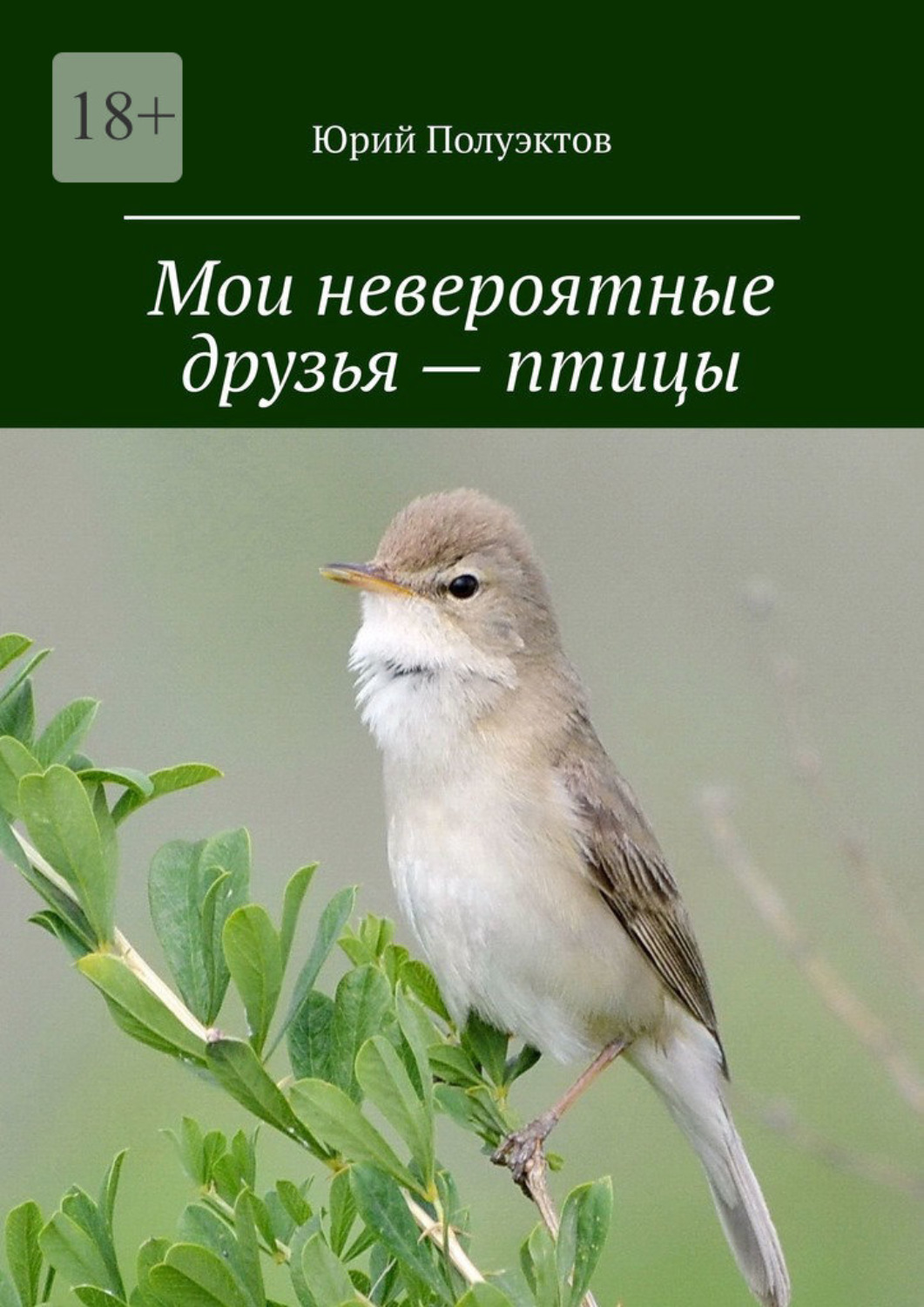 Обложка книги «Мои невероятные друзья – птицы»