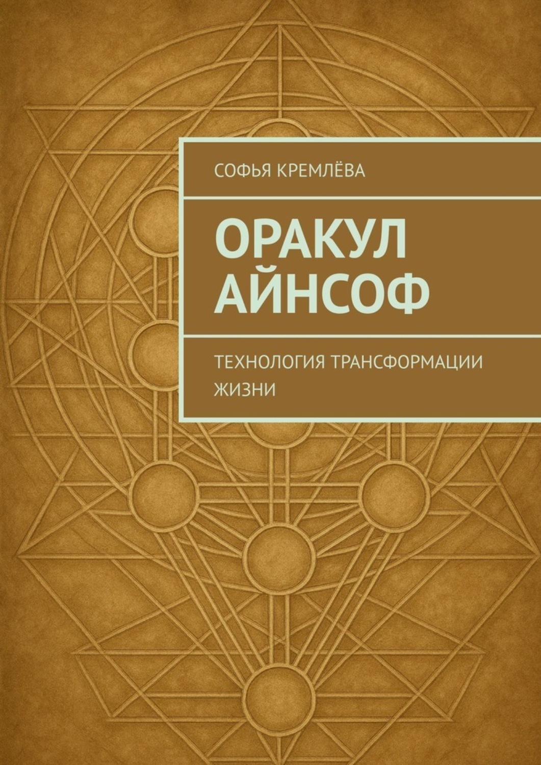 Обложка книги «Оракул АйнСоф. Технология трансформации жизни»