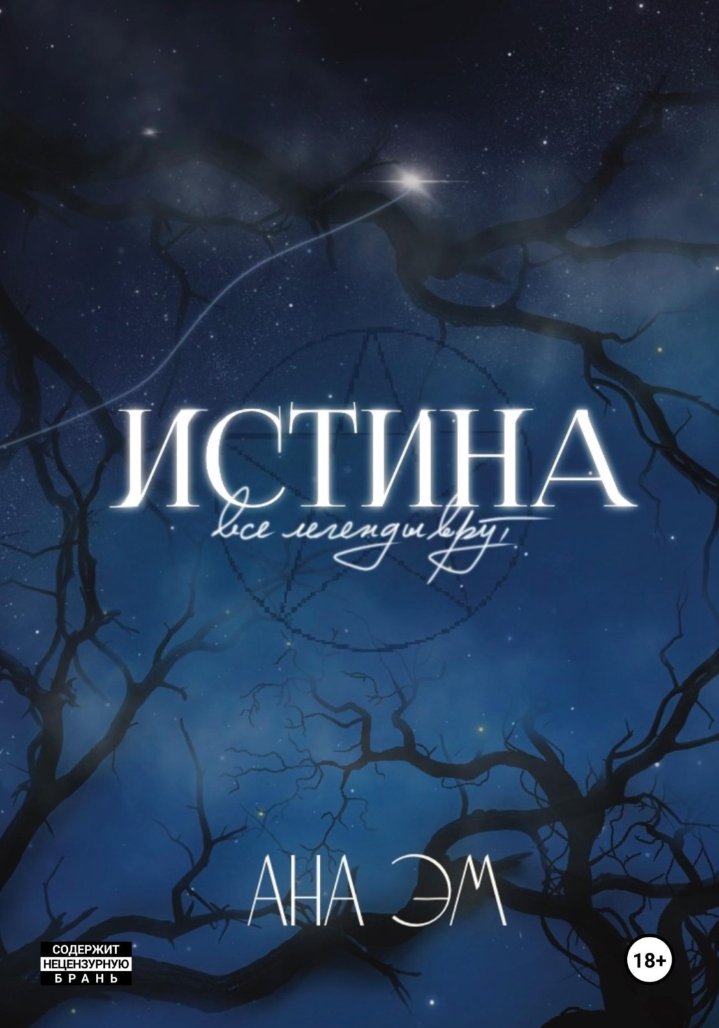 Обложка книги «Истина»