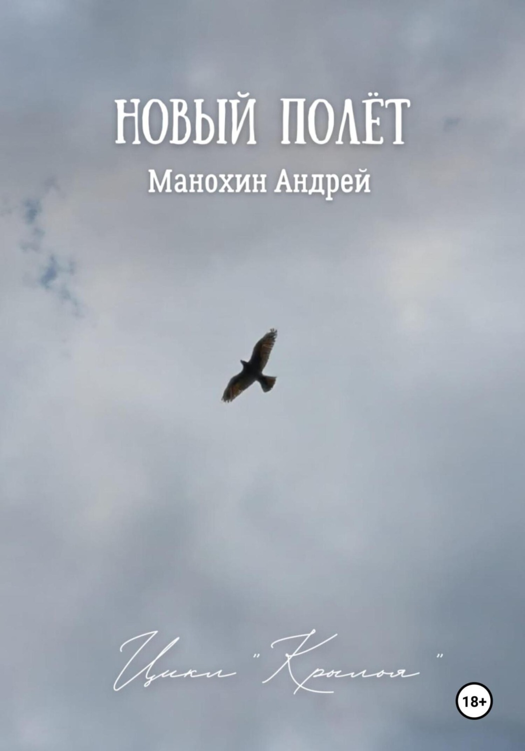 Обложка книги «Новый полёт»