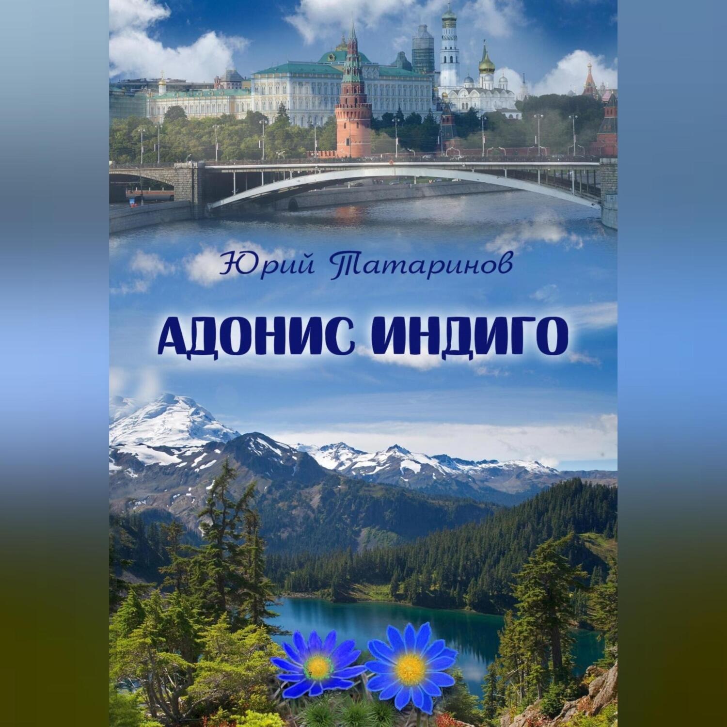 Обложка книги «Адонис Индиго»