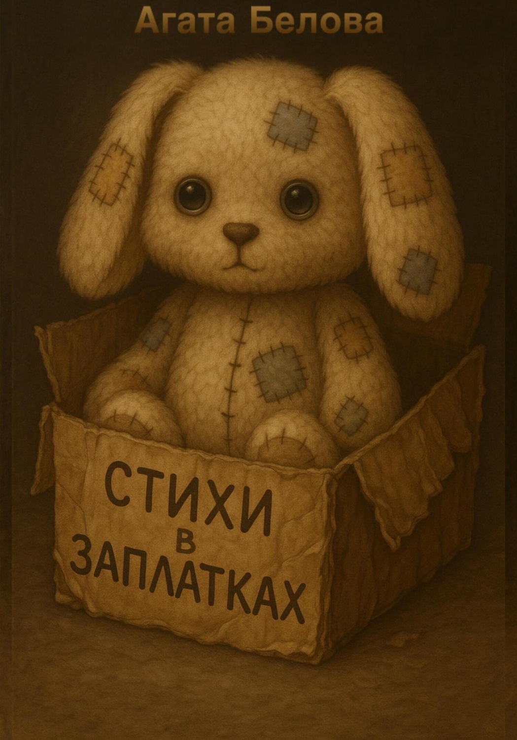 Обложка книги «Стихи в заплатках»