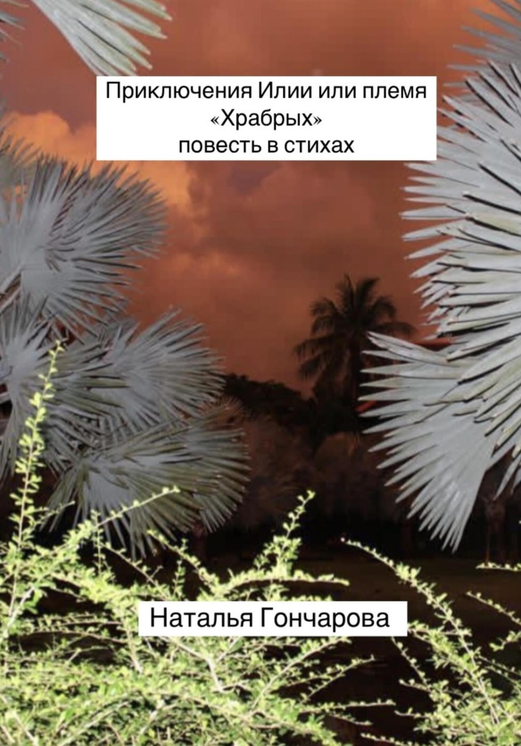 Обложка книги «Приключения Илии или племя «Храбрых»»