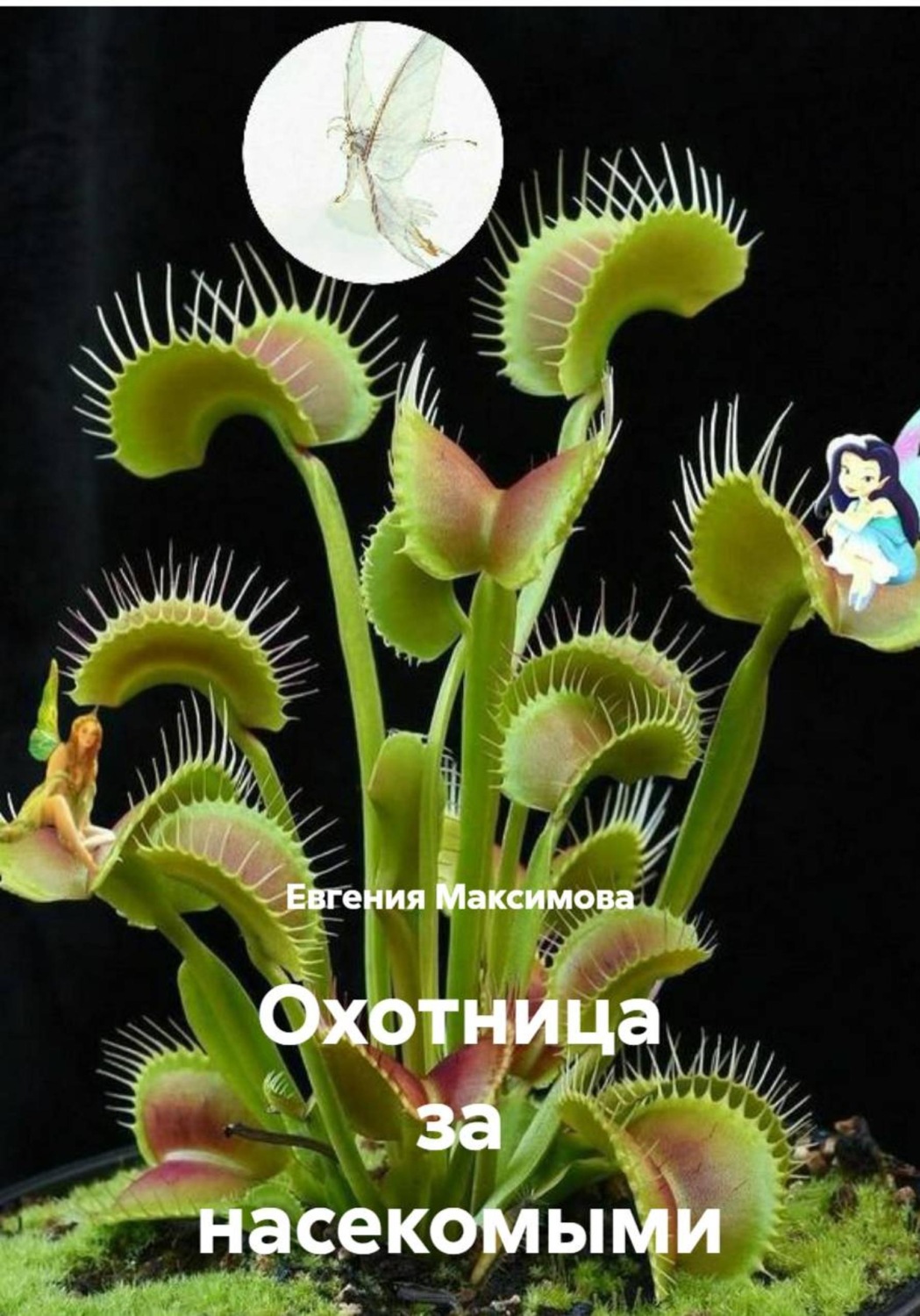 Обложка книги «Охотница за насекомыми»