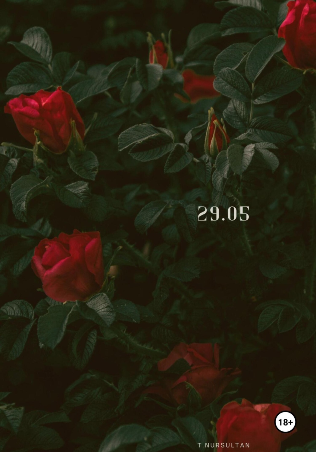 Обложка книги «29.05»