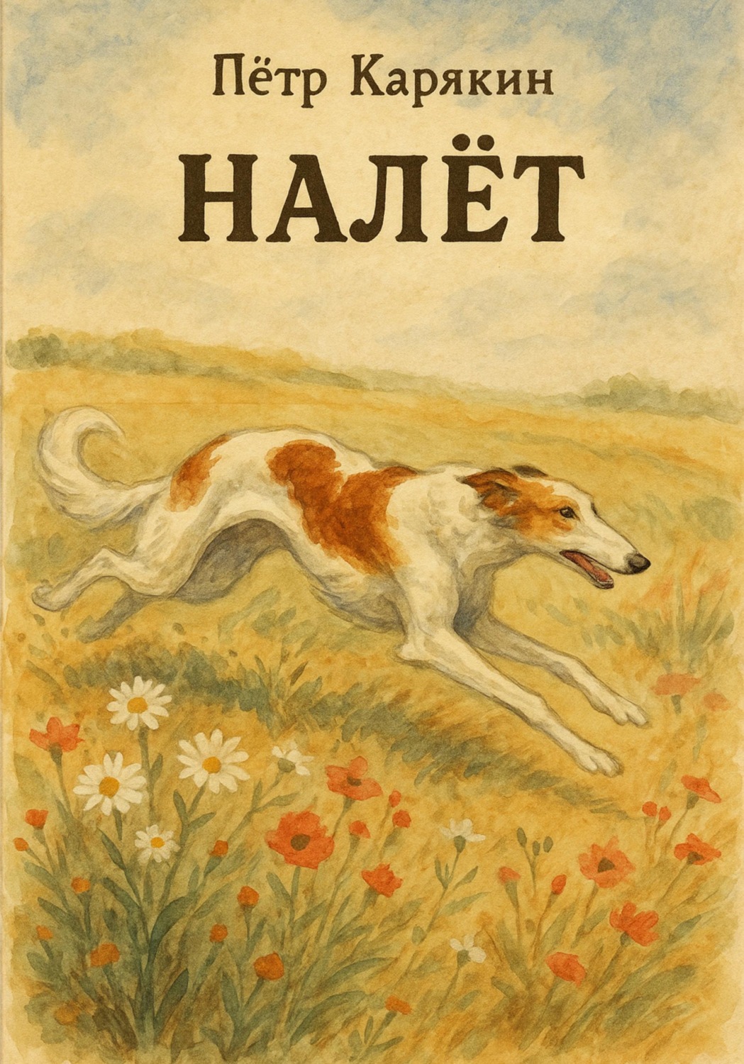 Обложка книги «Налёт»