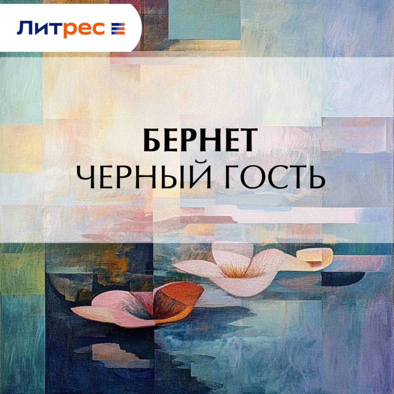 Обложка книги «Черный гость»