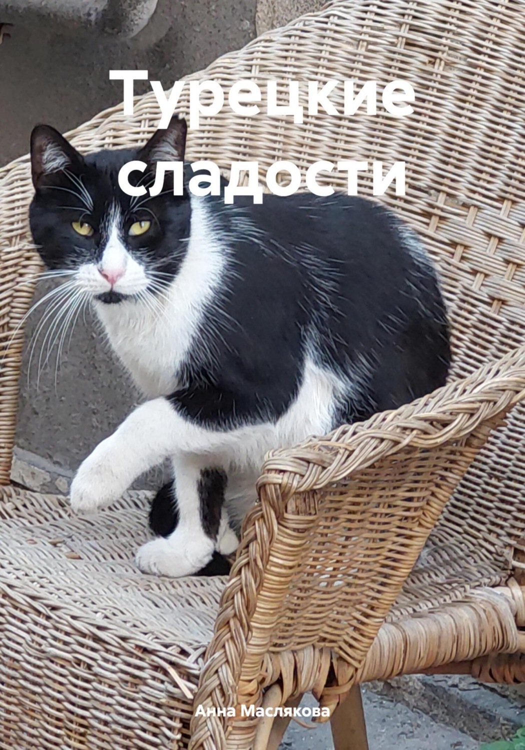 Обложка книги «Турецкие сладости»