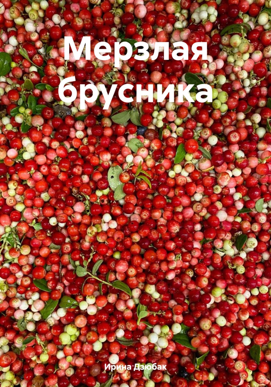 Обложка книги «Мерзлая брусника»
