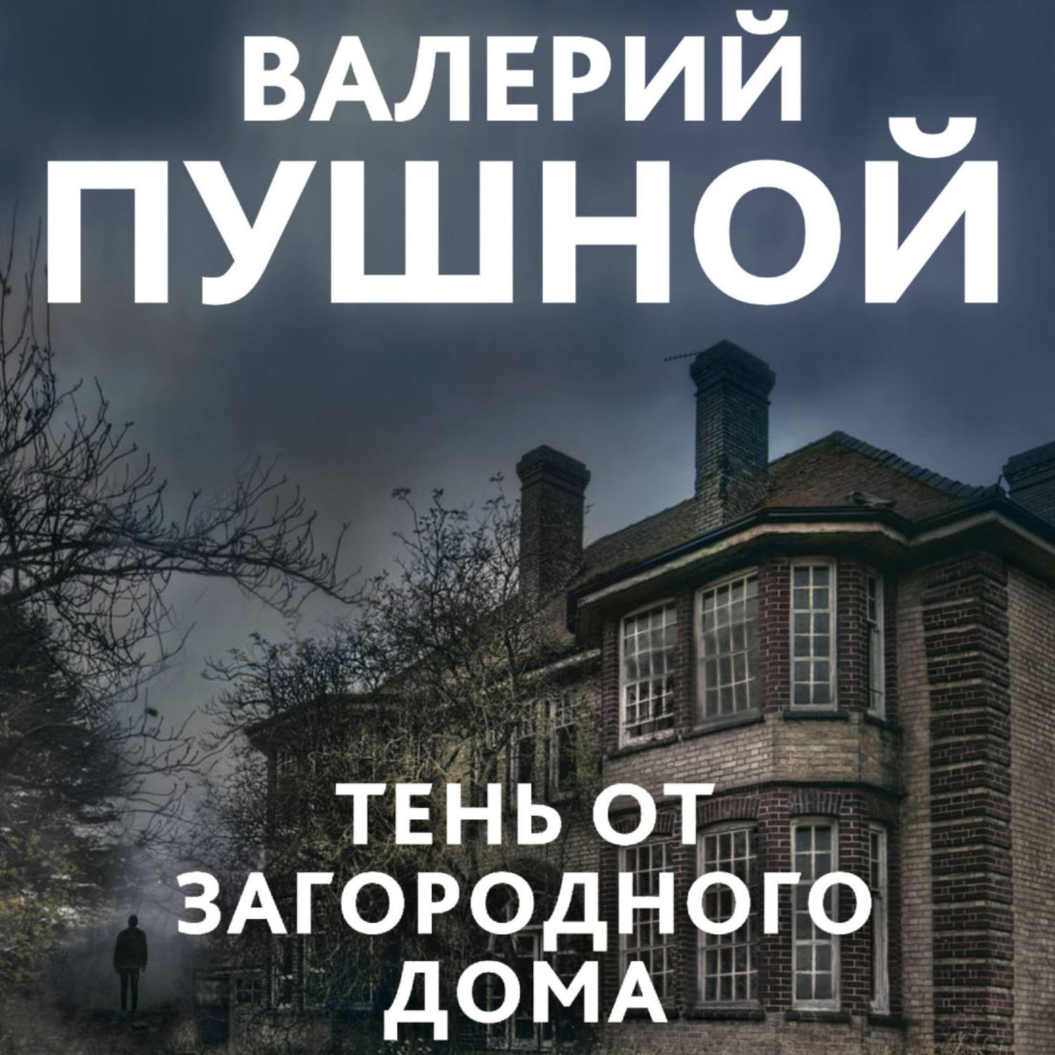 Обложка книги «Тень от загородного дома»