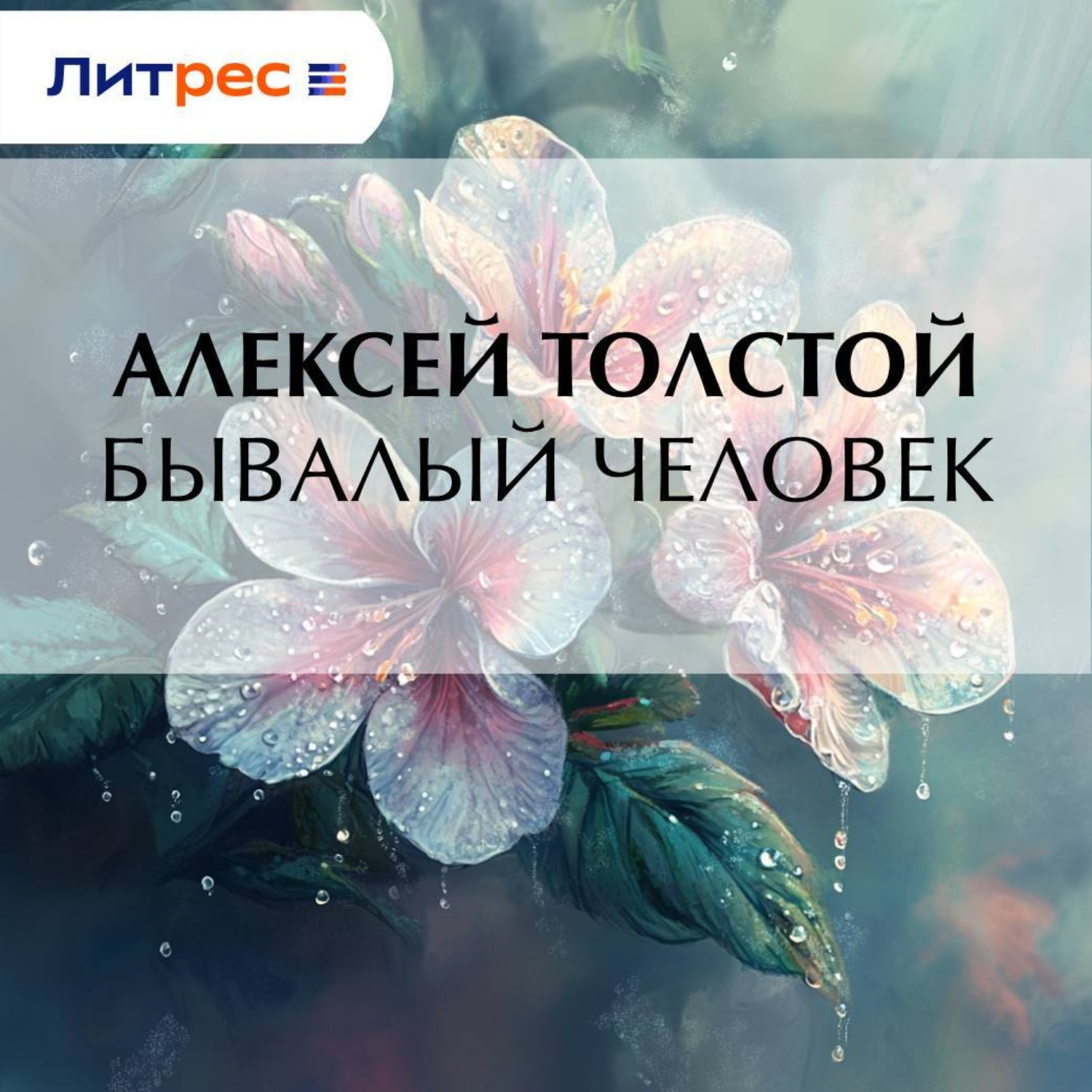 Обложка книги «Бывалый человек»