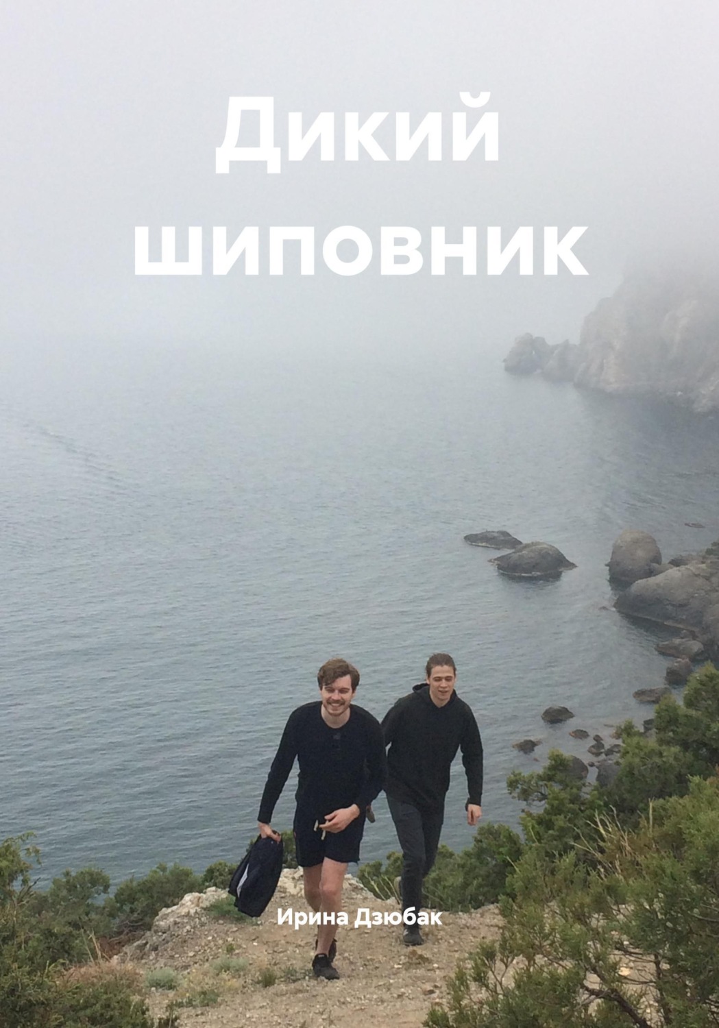 Обложка книги «Дикий шиповник»