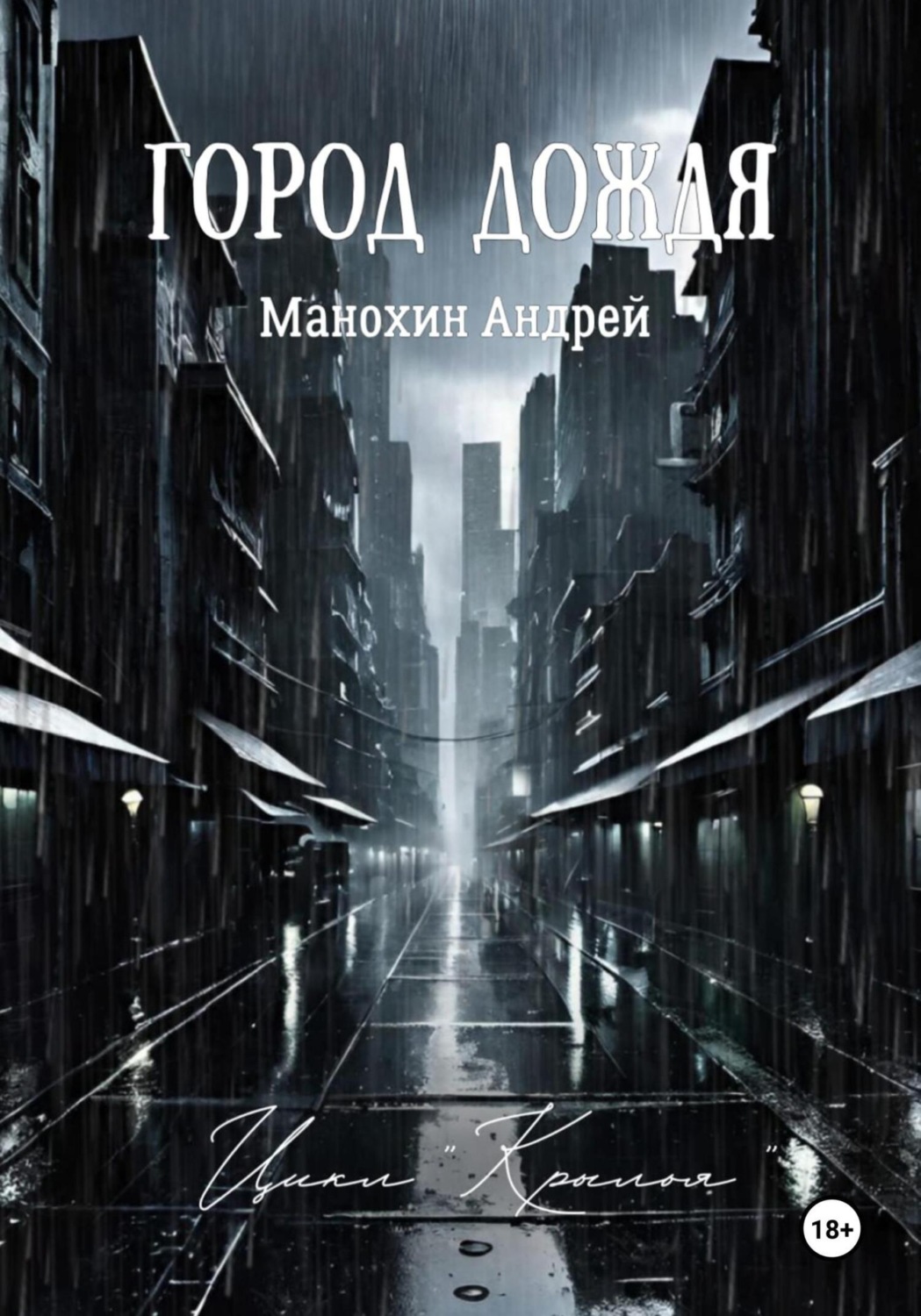Обложка книги «Город Дождя»