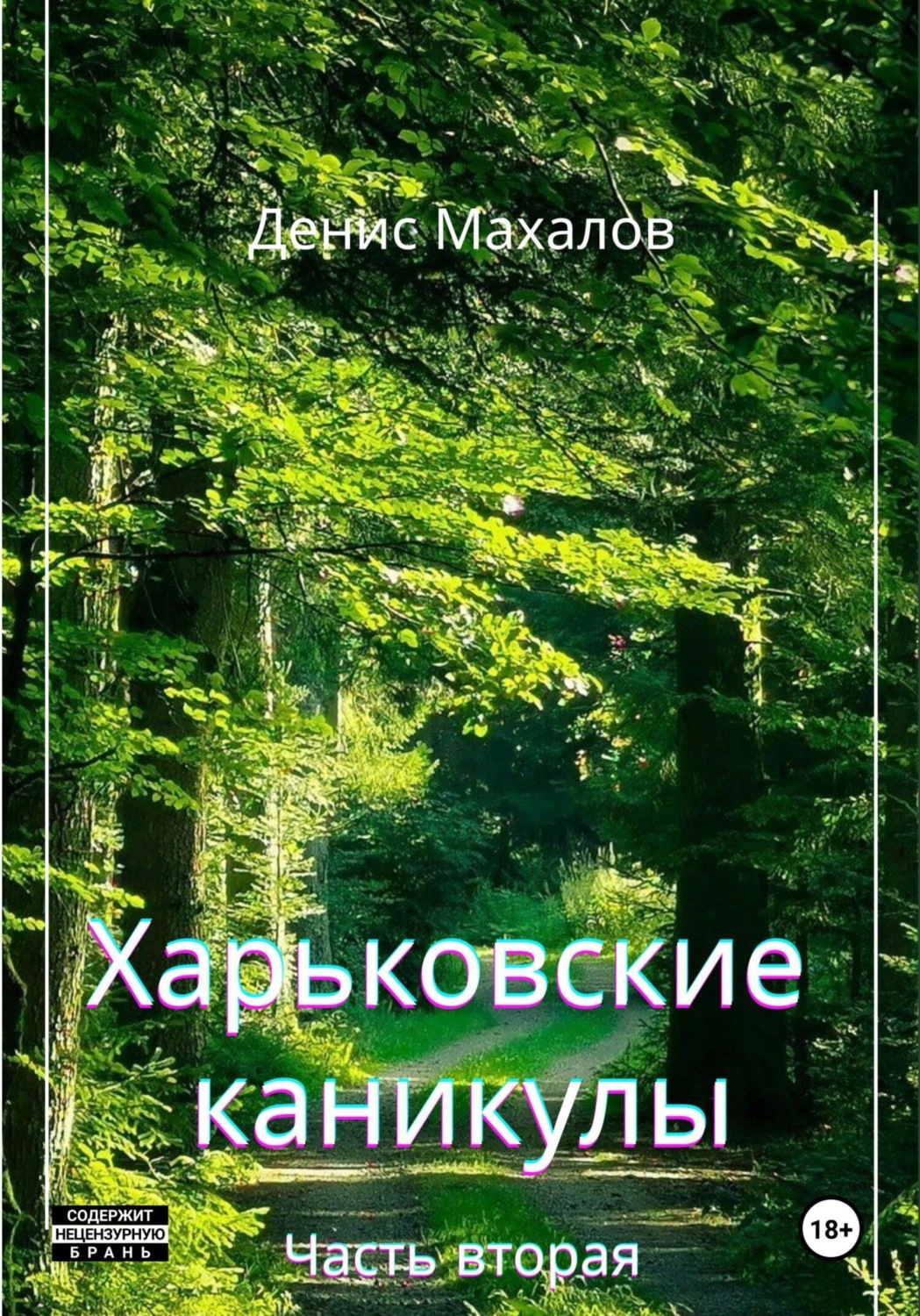 Обложка книги «Харьковские каникулы. Часть вторая»