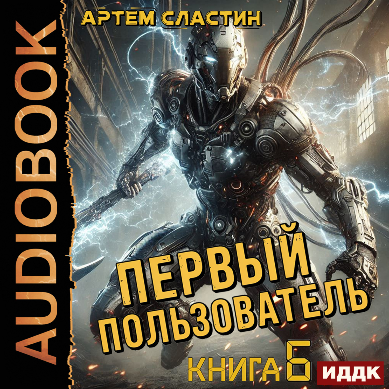 Обложка книги «Первый пользователь. Книга 6»