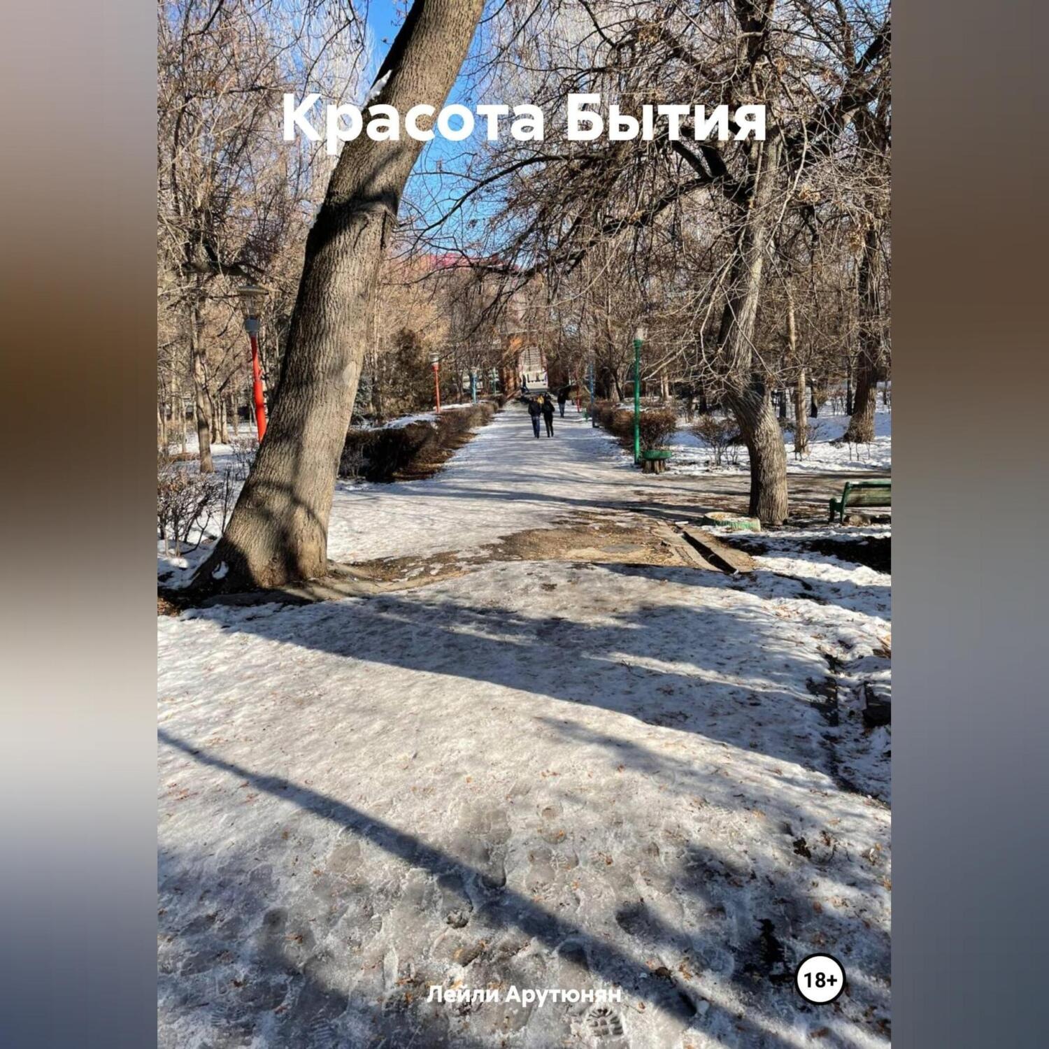 Обложка книги «Красота Бытия»