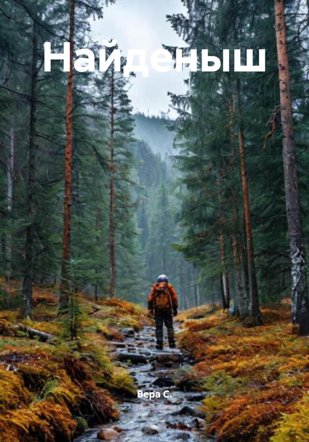 Обложка книги «Найденыш»