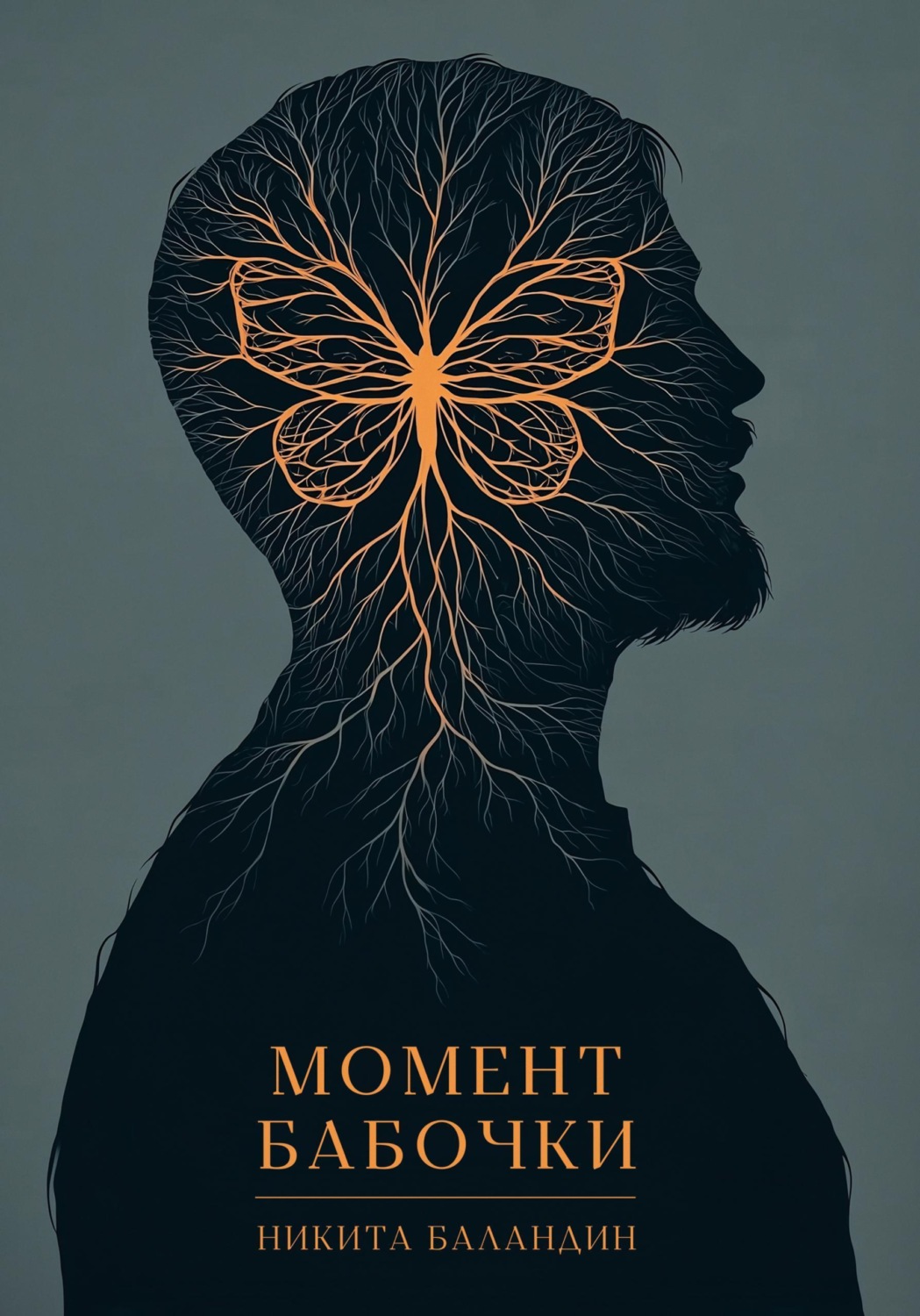 Обложка книги «Момент Бабочки»