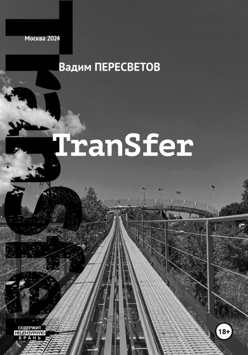 Обложка книги «TranSfer»
