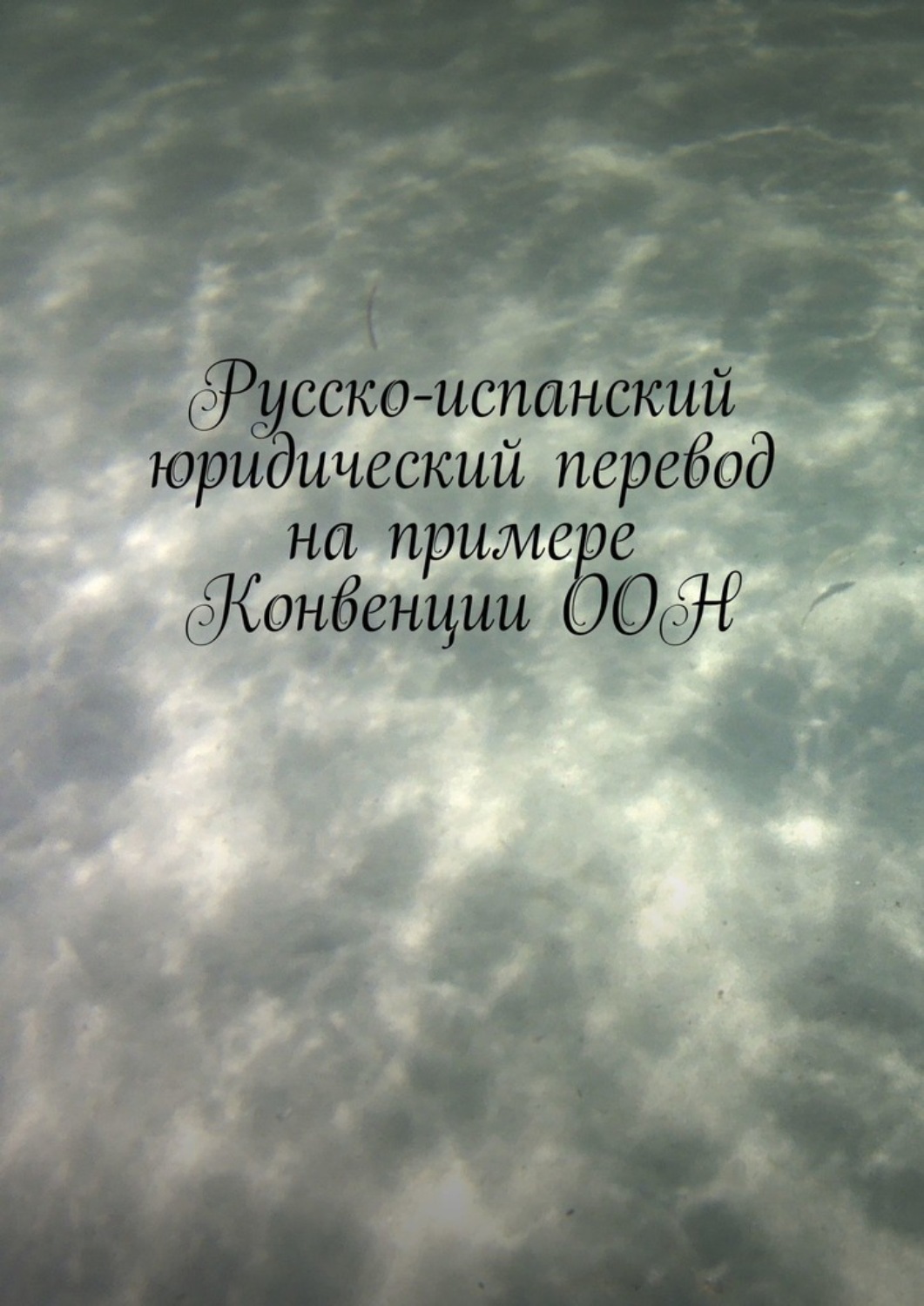 Обложка книги «Русско-испанский юридический перевод на примере Конвенции ООН»