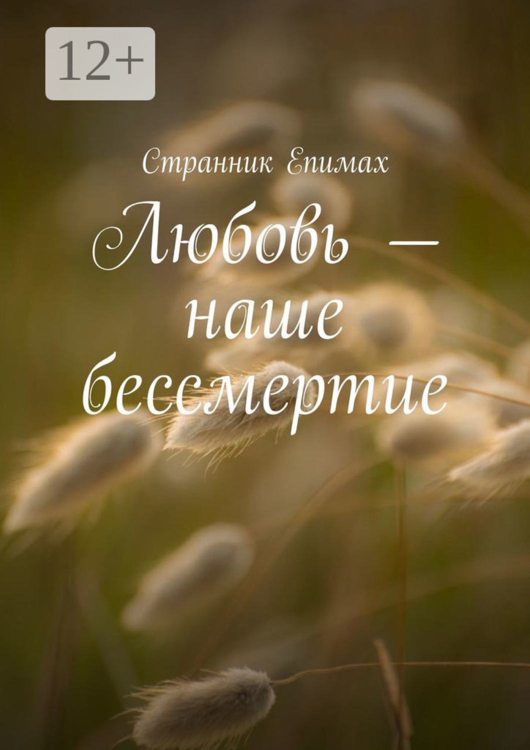 Обложка книги «Любовь – наше бессмертие»