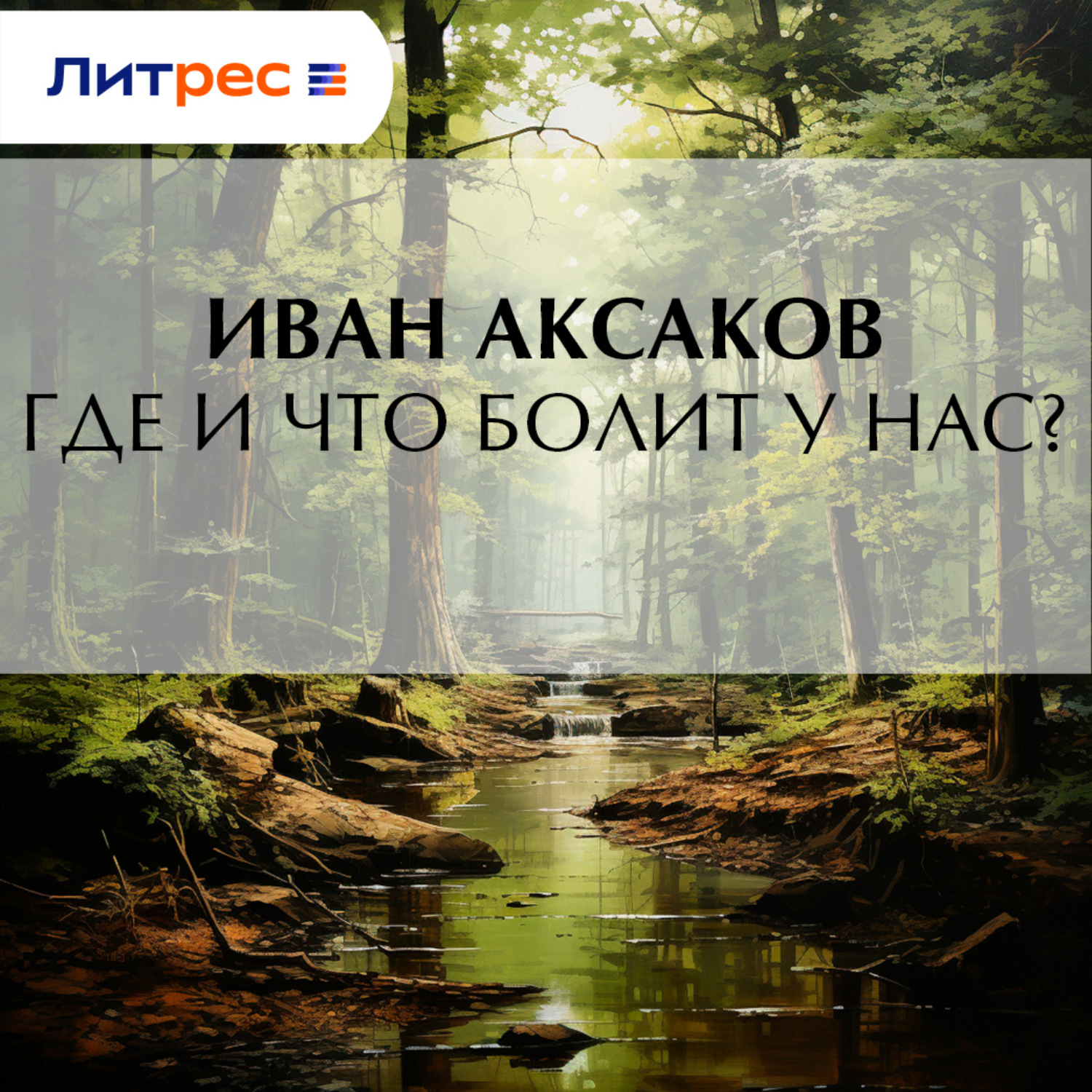 Обложка книги «Где и что болит у нас?»