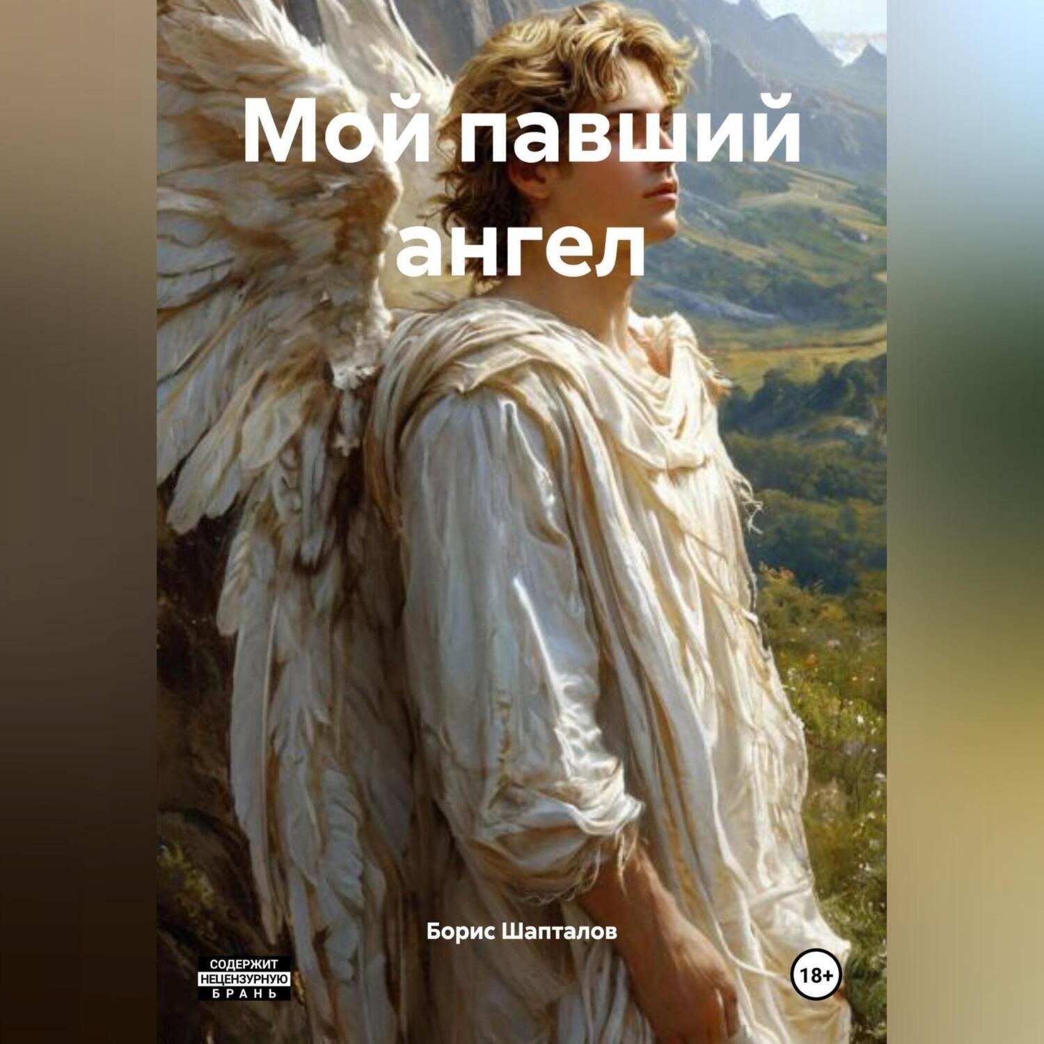 Обложка книги «Мой павший ангел»