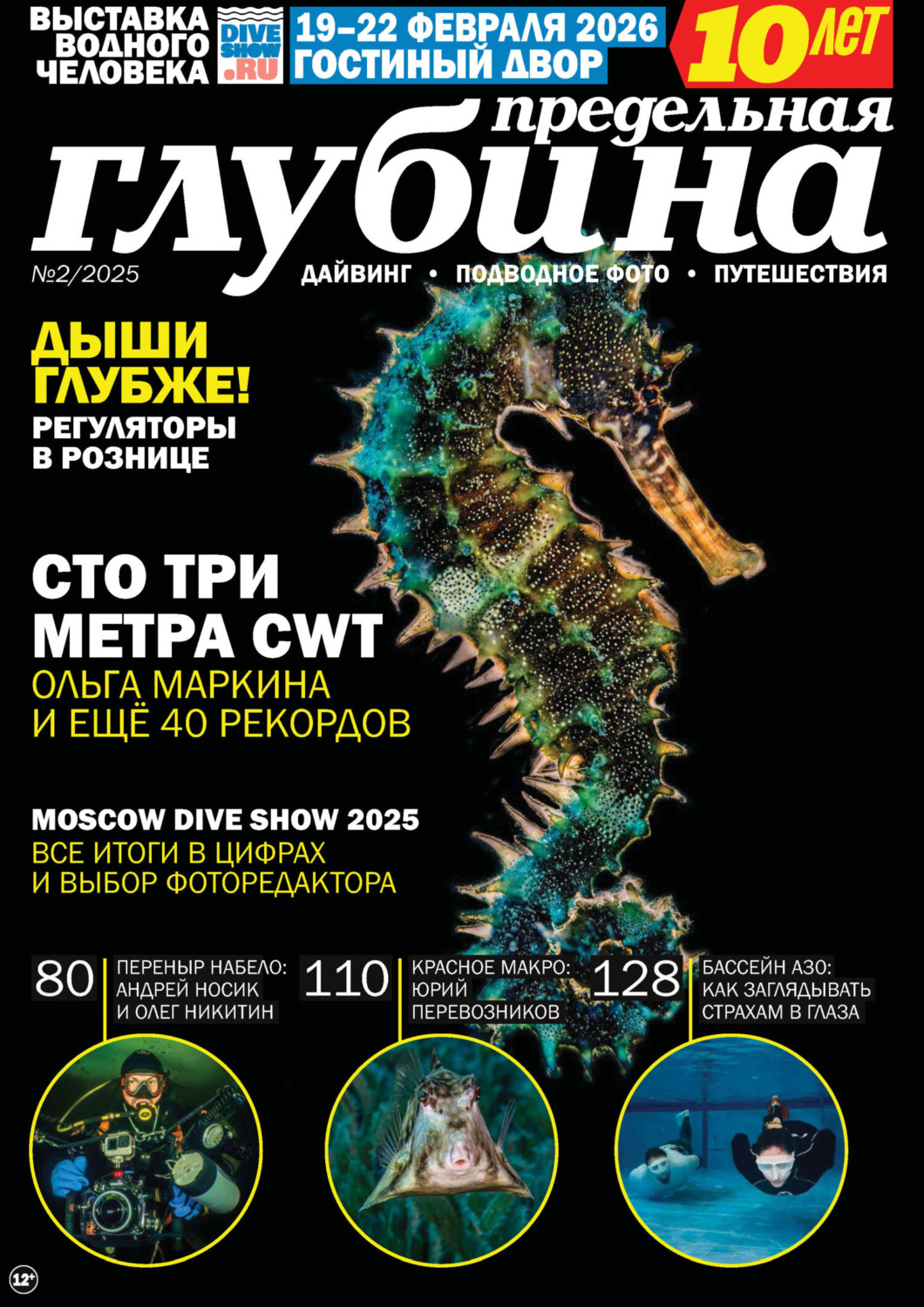 Обложка книги «Предельная Глубина №2/2025»