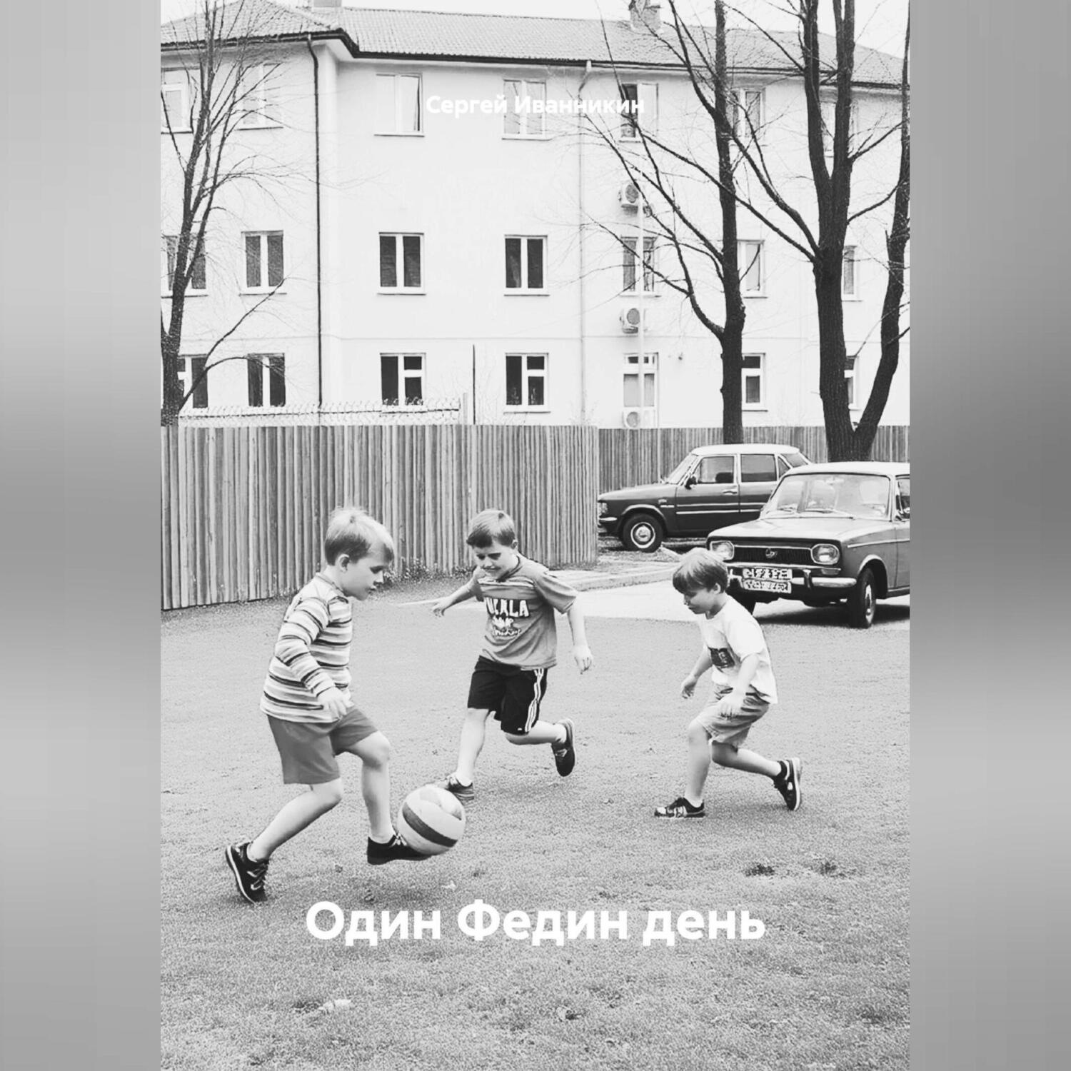 Обложка книги «Один Федин день»