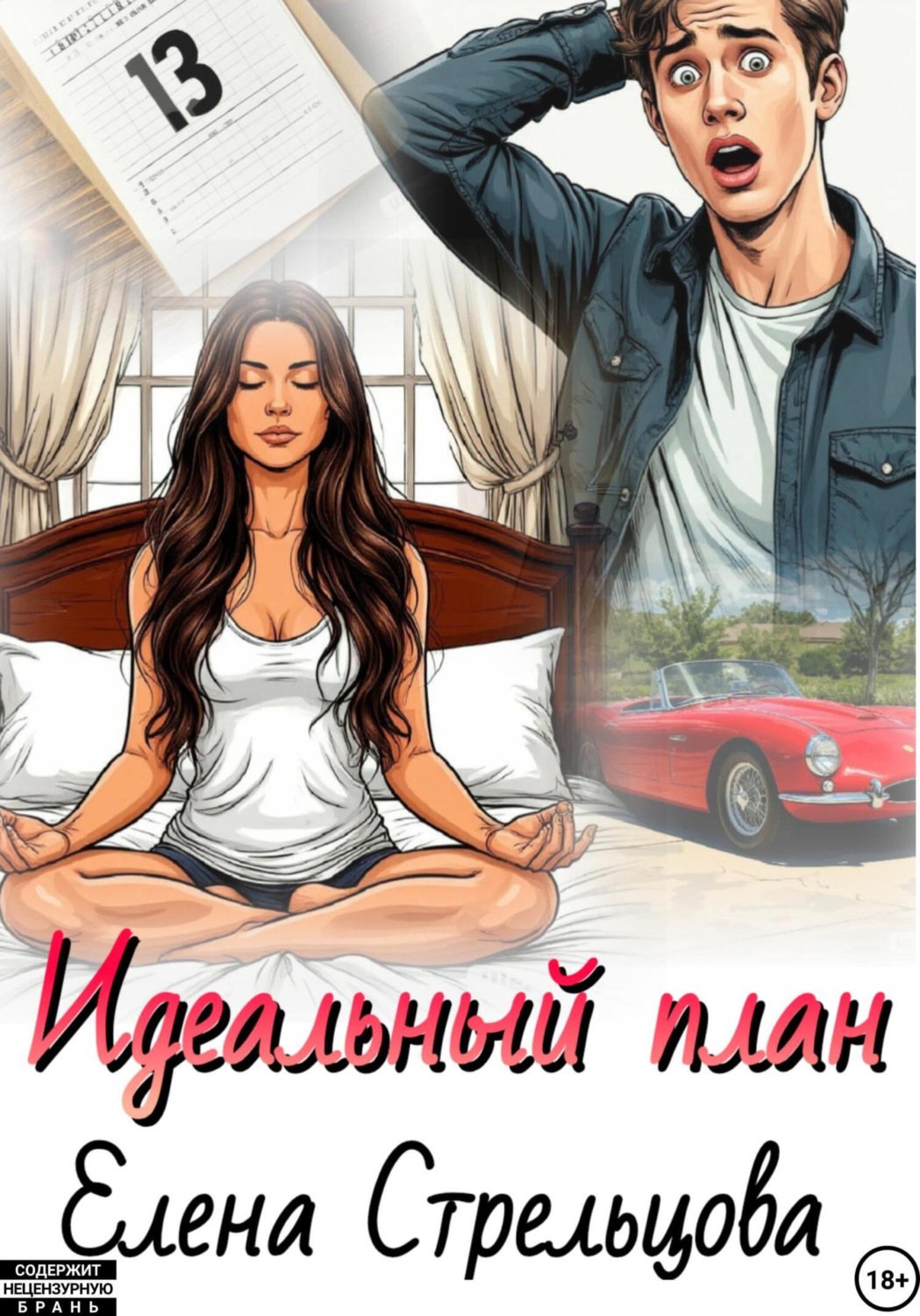 Обложка книги «Идеальный план»