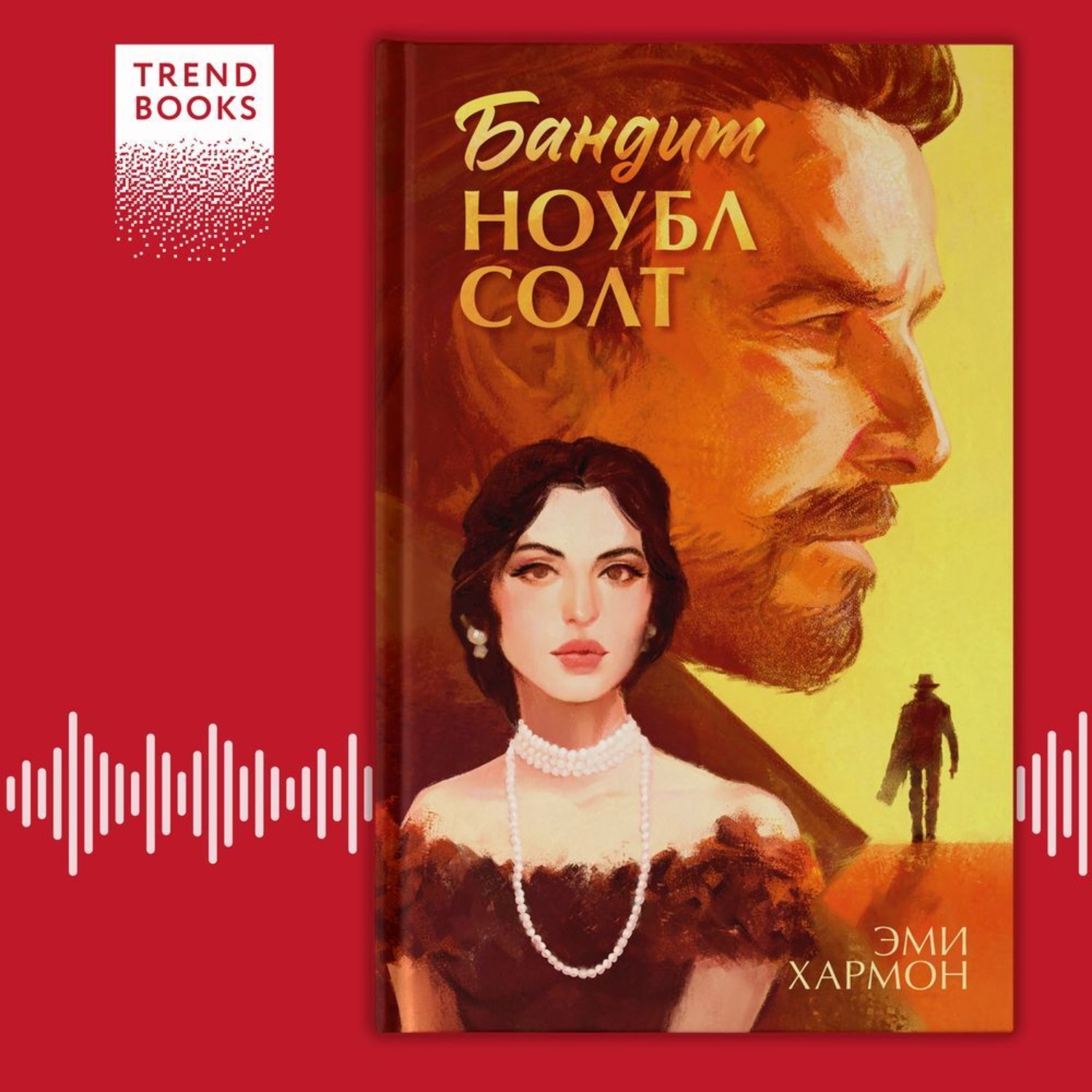 Обложка книги «Бандит Ноубл Солт»