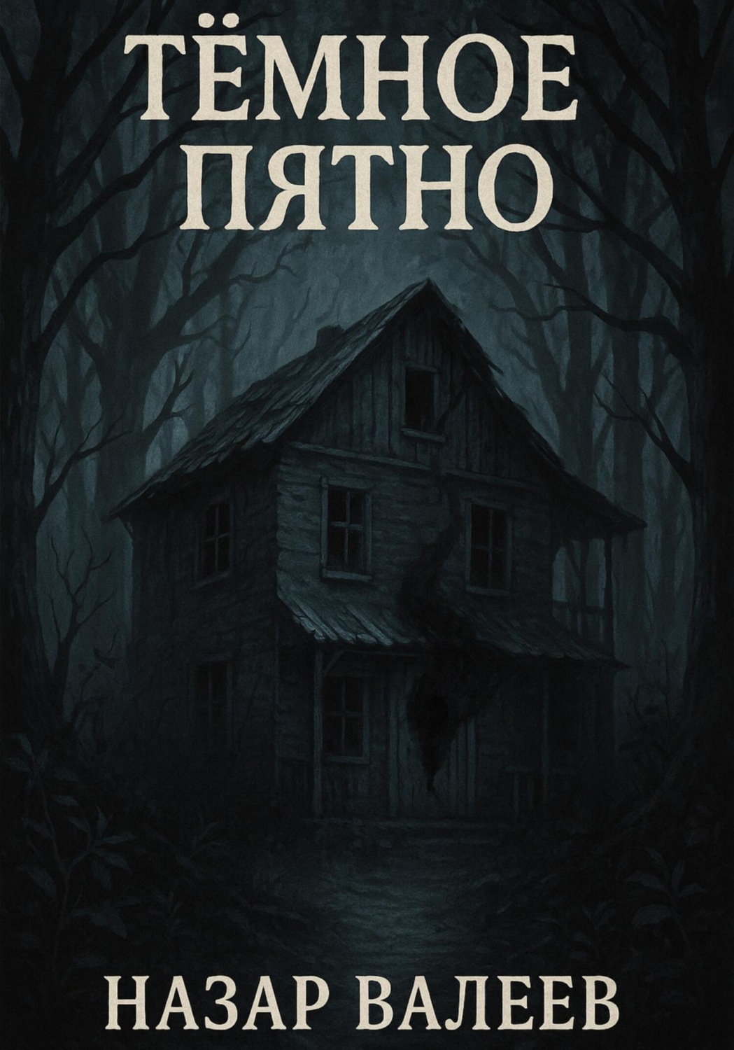 Обложка книги «Тёмное пятно»