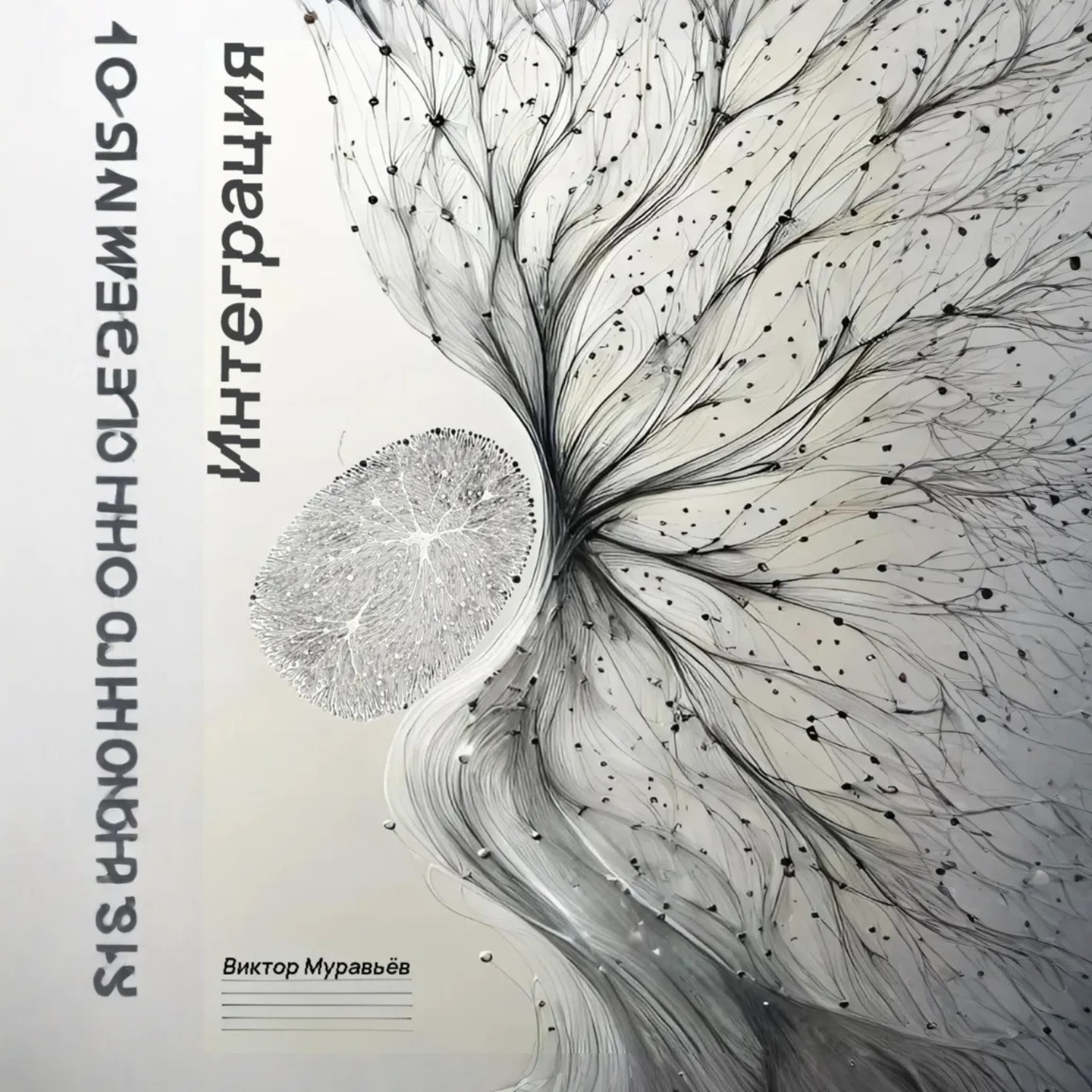 Обложка книги «Интеграция»