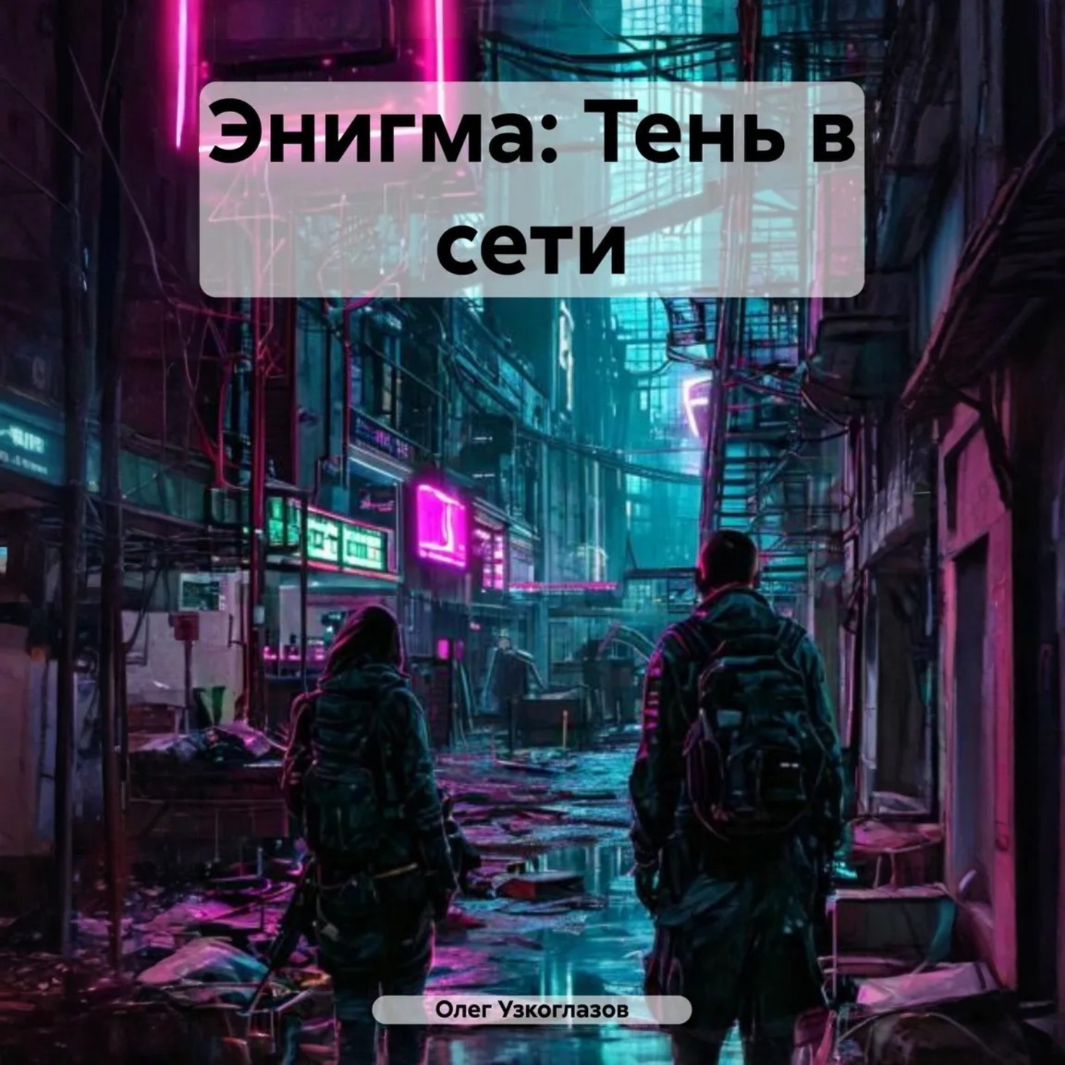 Обложка книги «Энигма: Тень в сети»