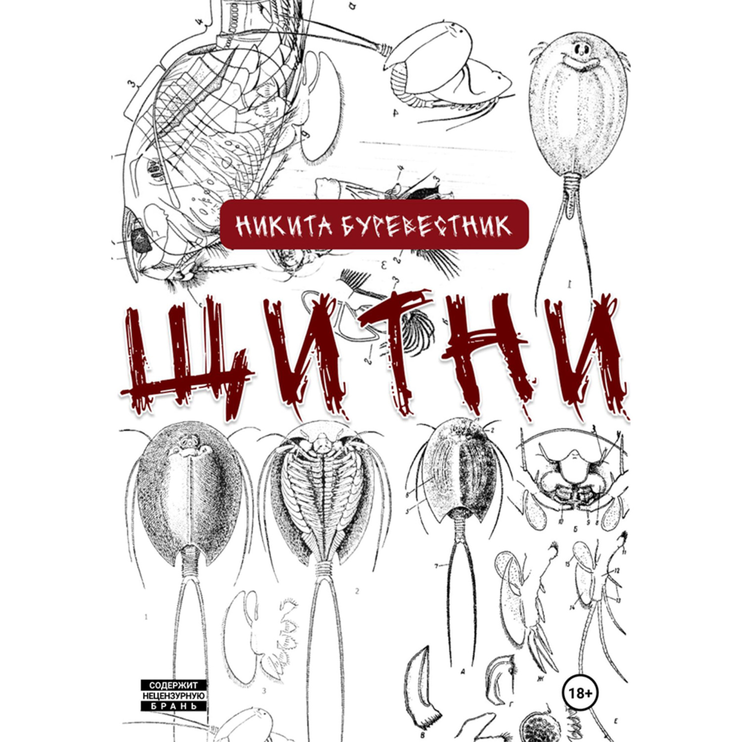 Обложка книги «Щитни»