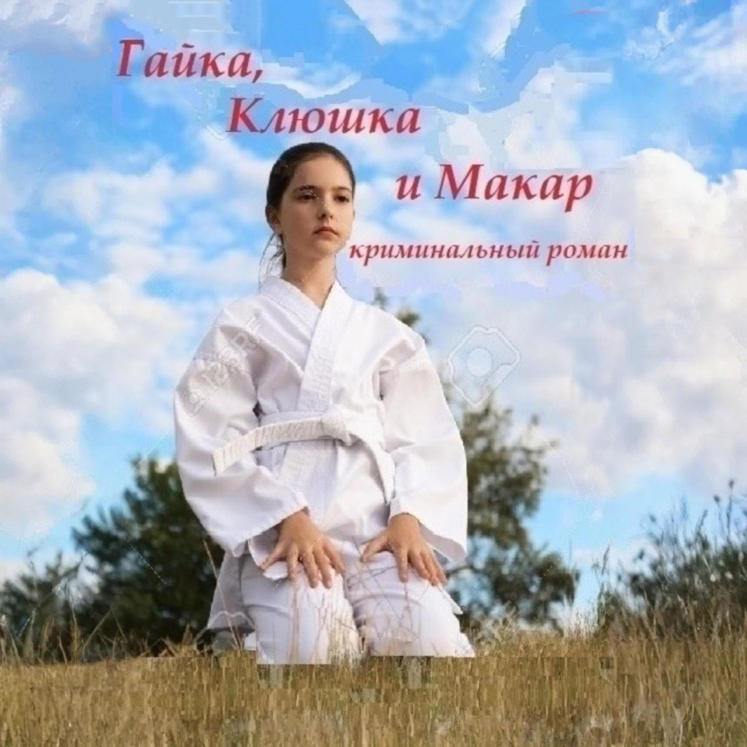 Обложка книги «Гайка, Клюшка и Макар»