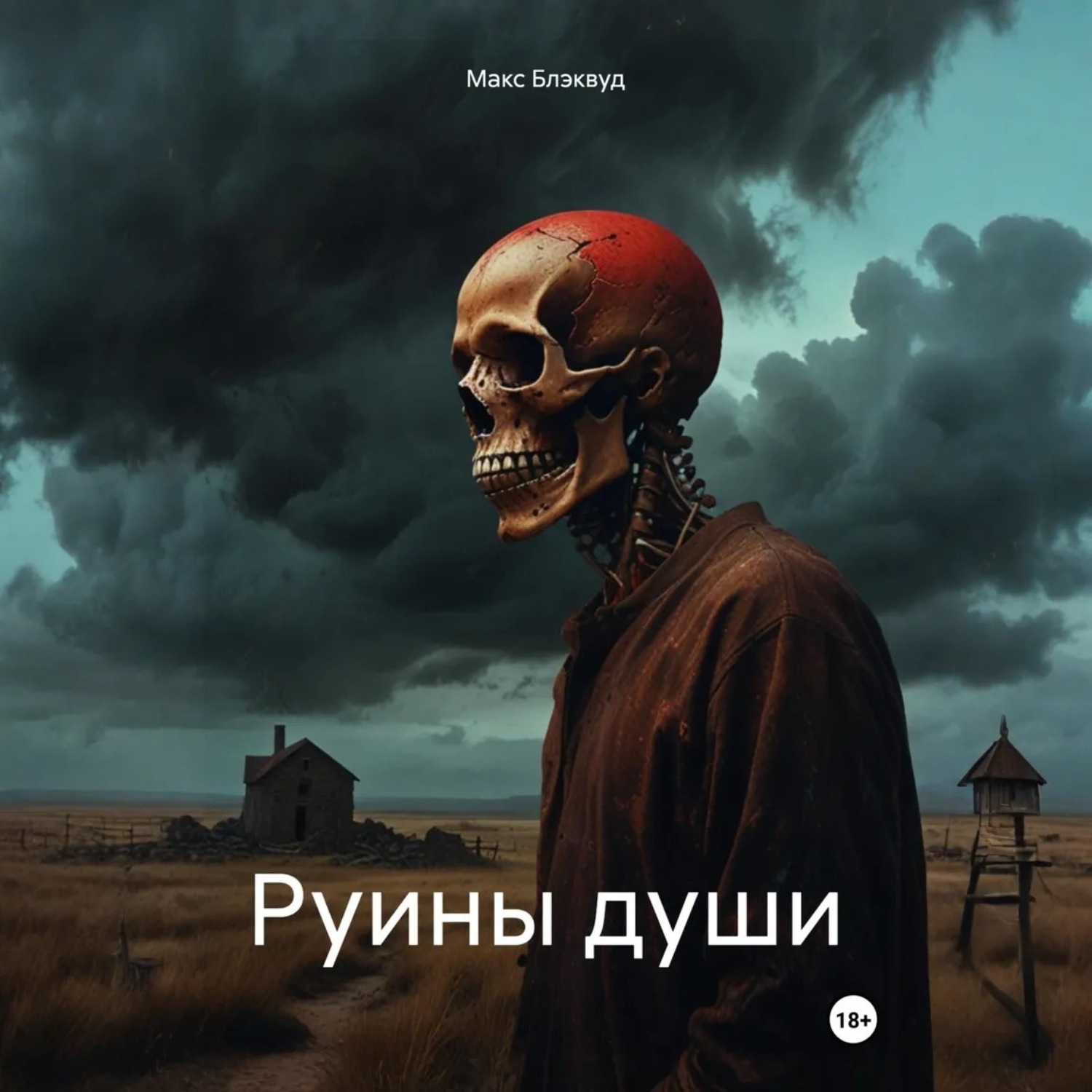 Обложка книги «Руины души»