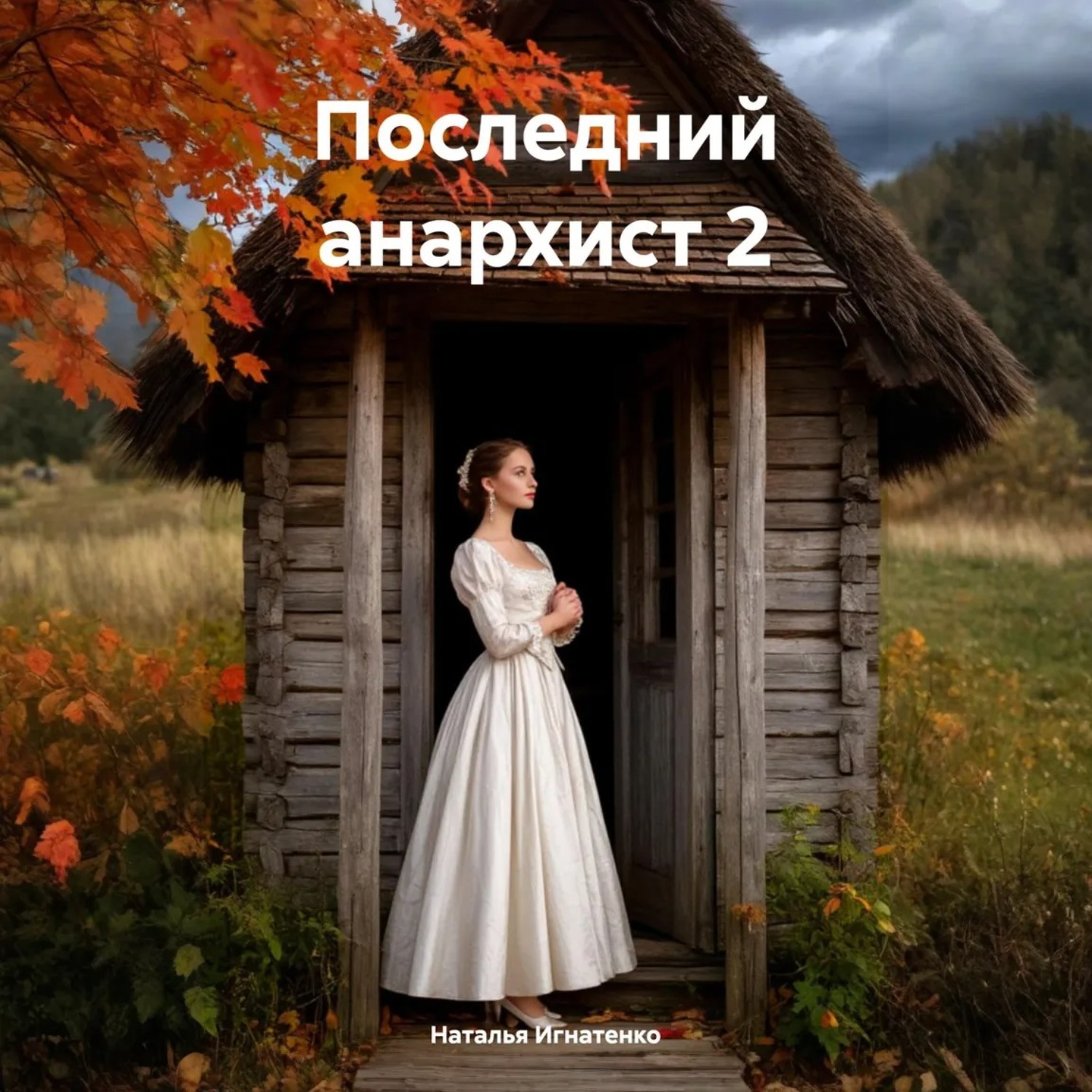 Обложка книги «Последний анархист 2»