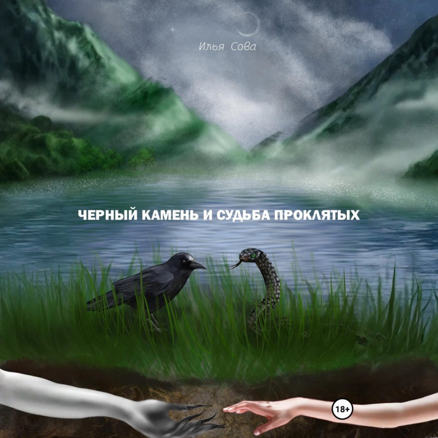 Обложка книги «Чёрный камень и судьба проклятых»