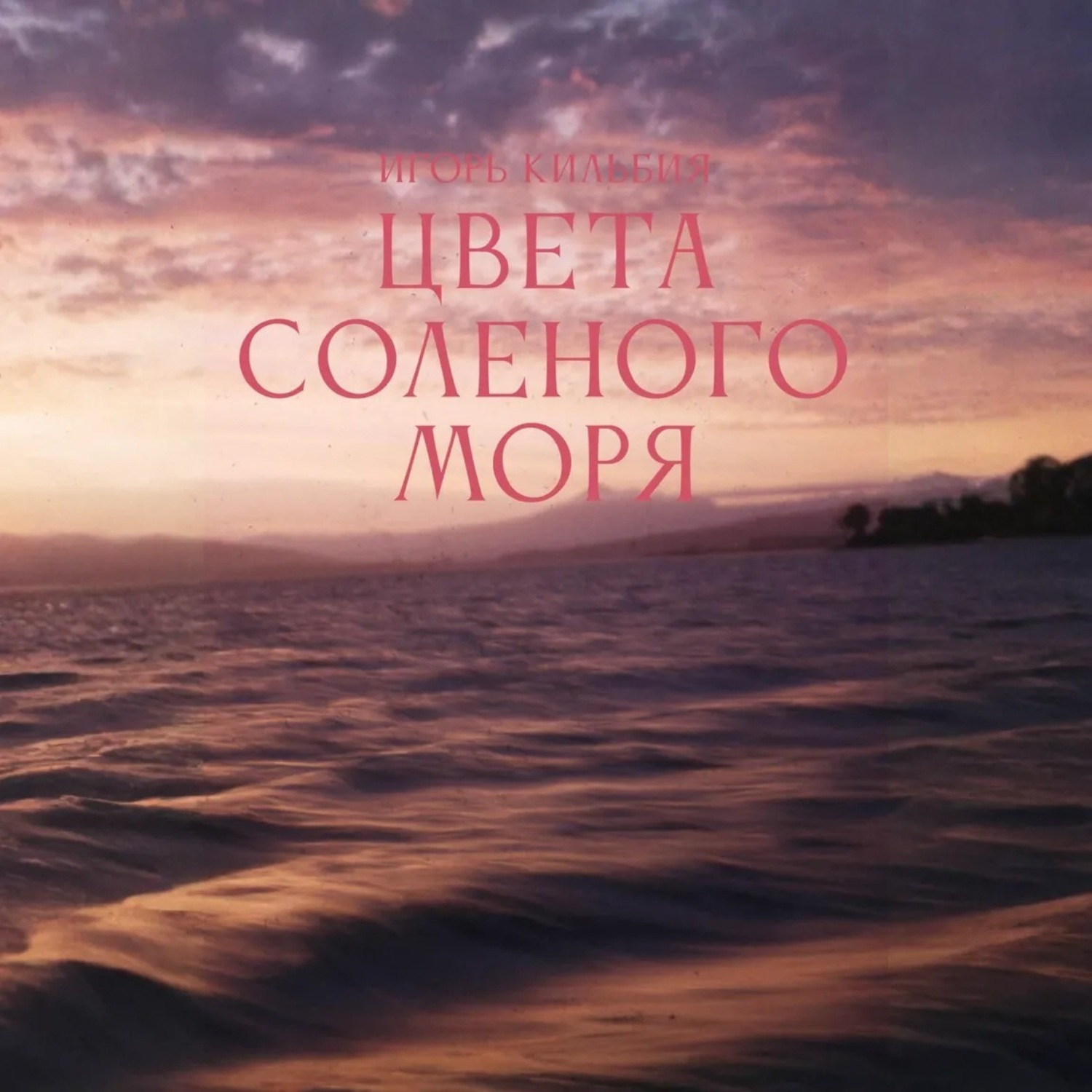 Обложка книги «Цвета соленого моря»