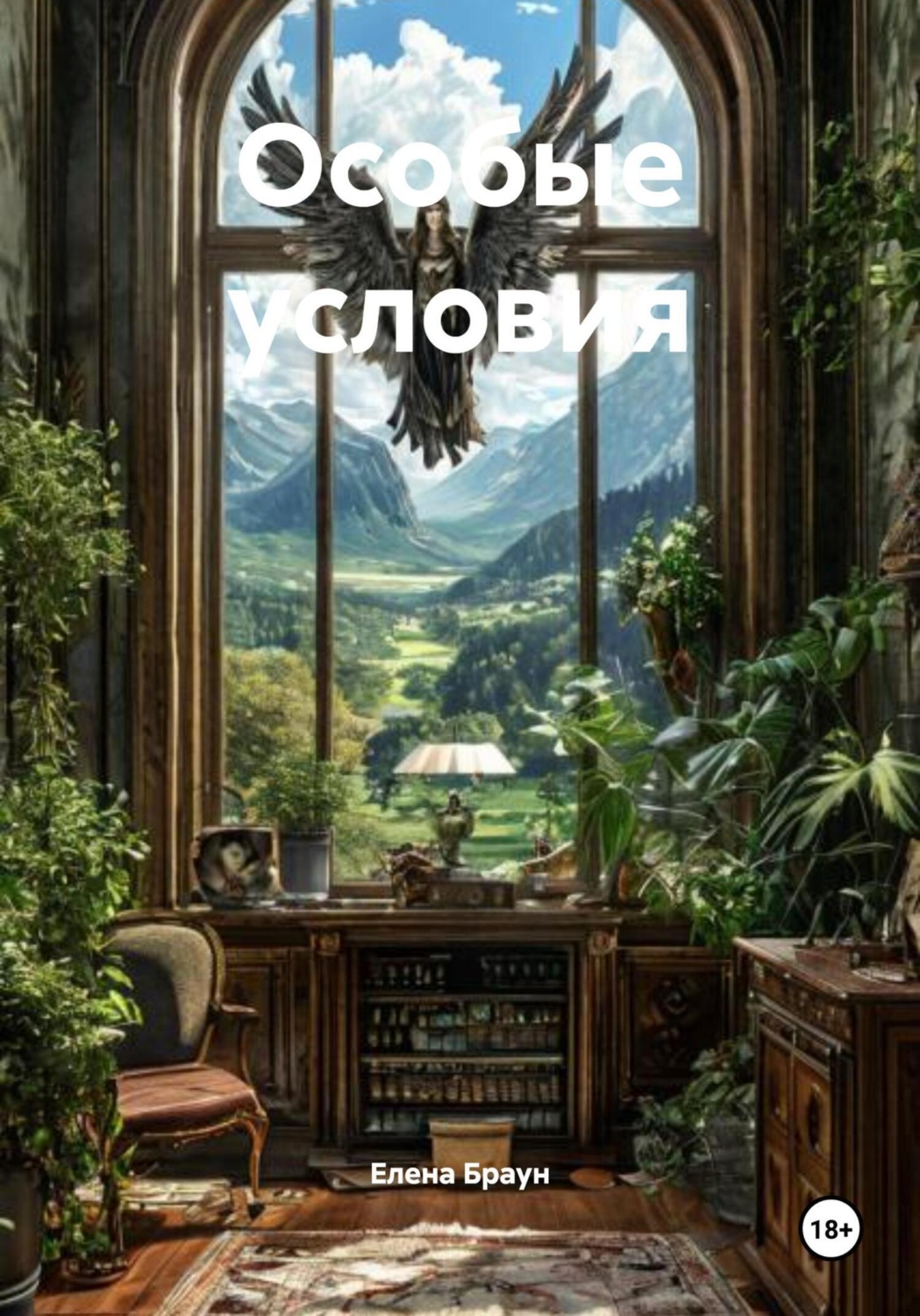 Обложка книги «Особые условия»