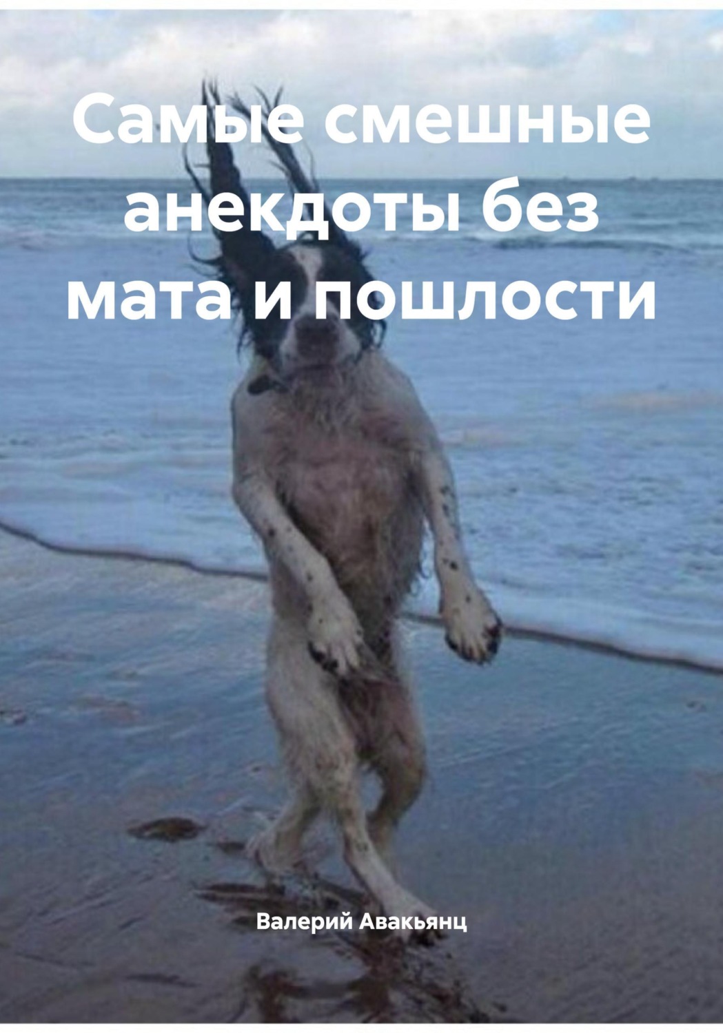 Обложка книги «Самые смешные анекдоты без мата и пошлости»