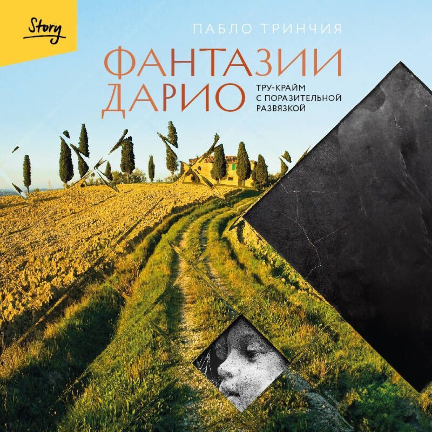 Обложка книги «Фантазии Дарио. Тру-крайм с поразительной развязкой»