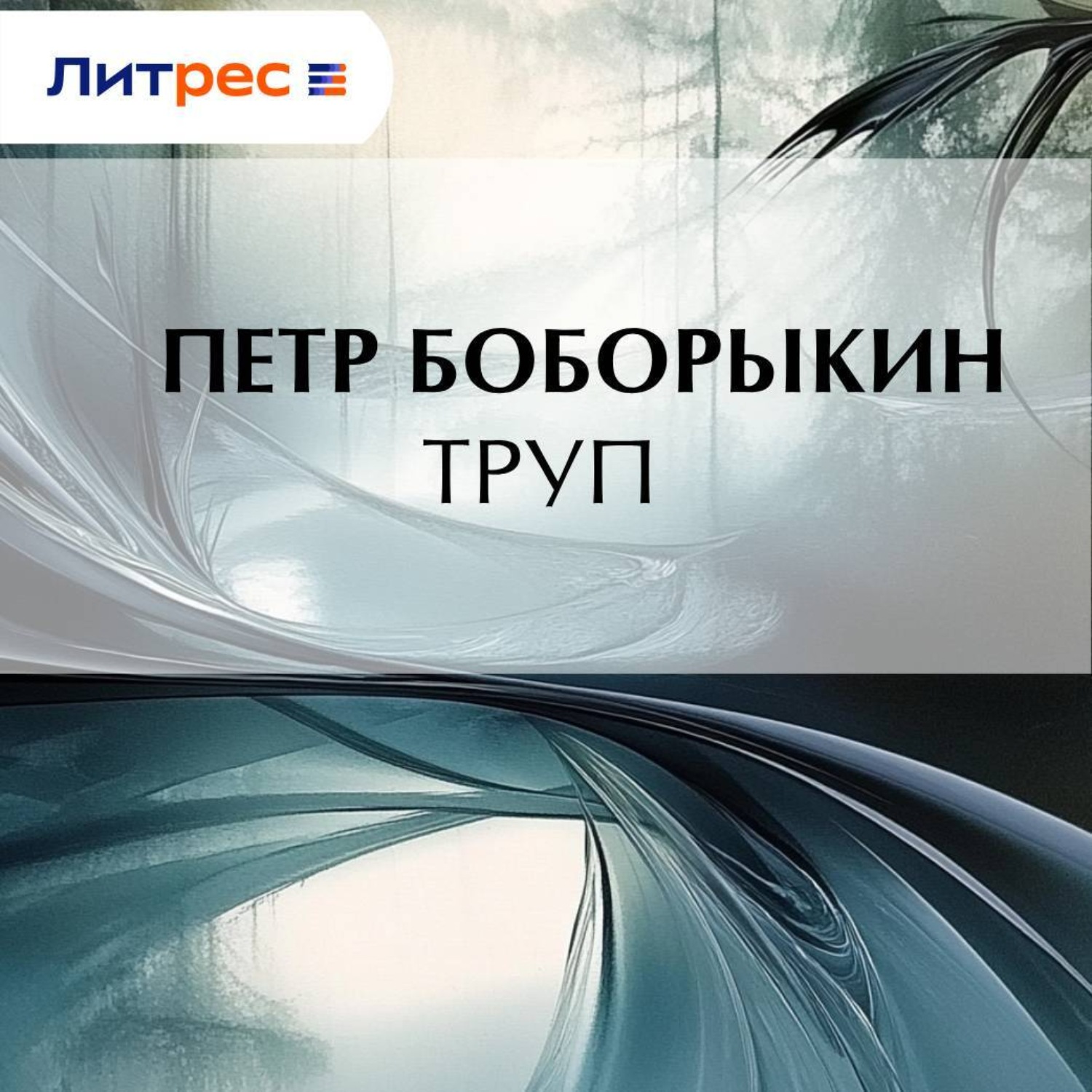 Обложка книги «Труп»
