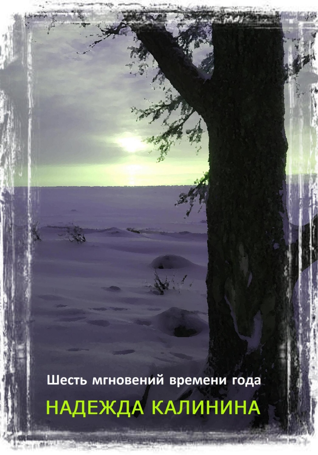 Обложка книги «Шесть мгновений времени года»